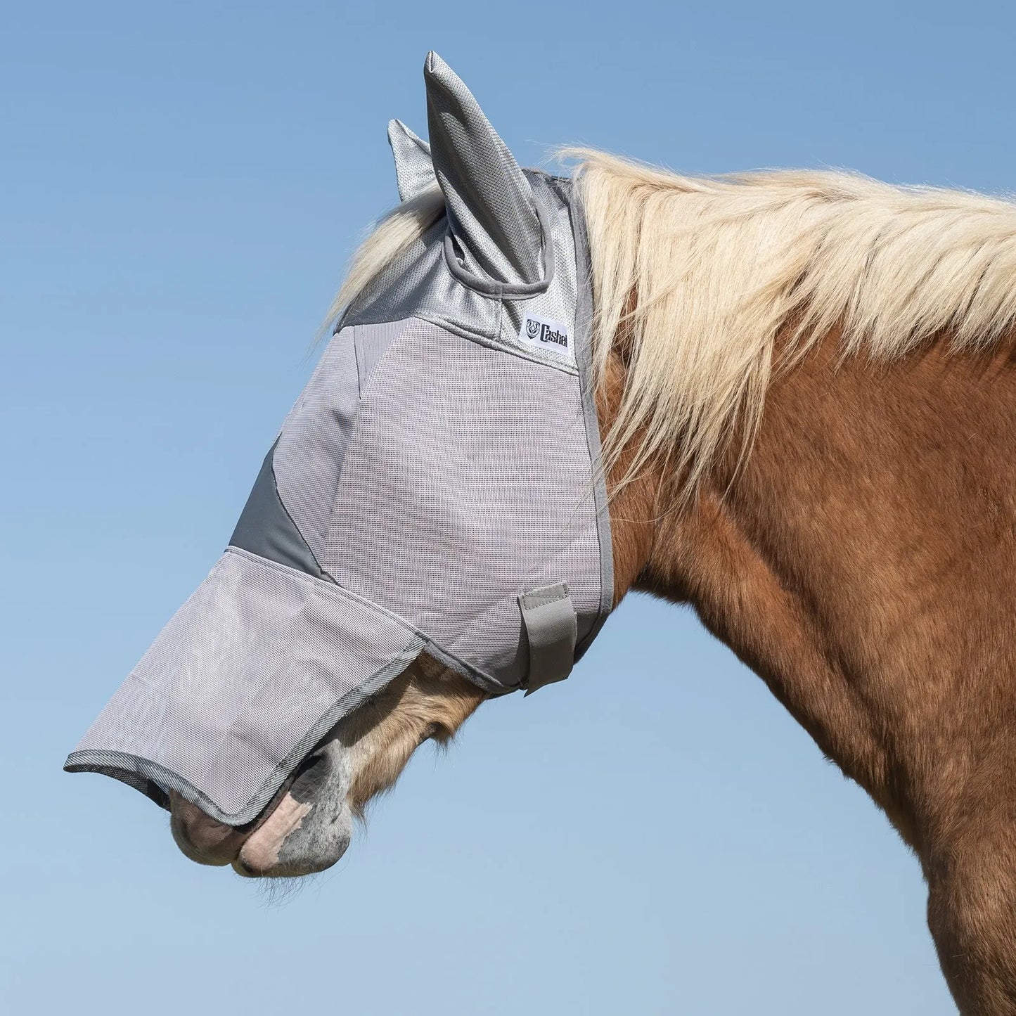 Cool grey Cashel Crusader Sun Fly Mask with ears and a long nose flap on a chestnut horse. This protective mesh horse mask offers ultimate UV and fly protection, covering the eyes, ears, and nose. Designed for comfort and durability during turnout, it features breathable grey mesh and a secure fit to keep pests away and sensitive skin safe from the sun. Perfect for horse owners seeking full-face coverage and effective sun protection.