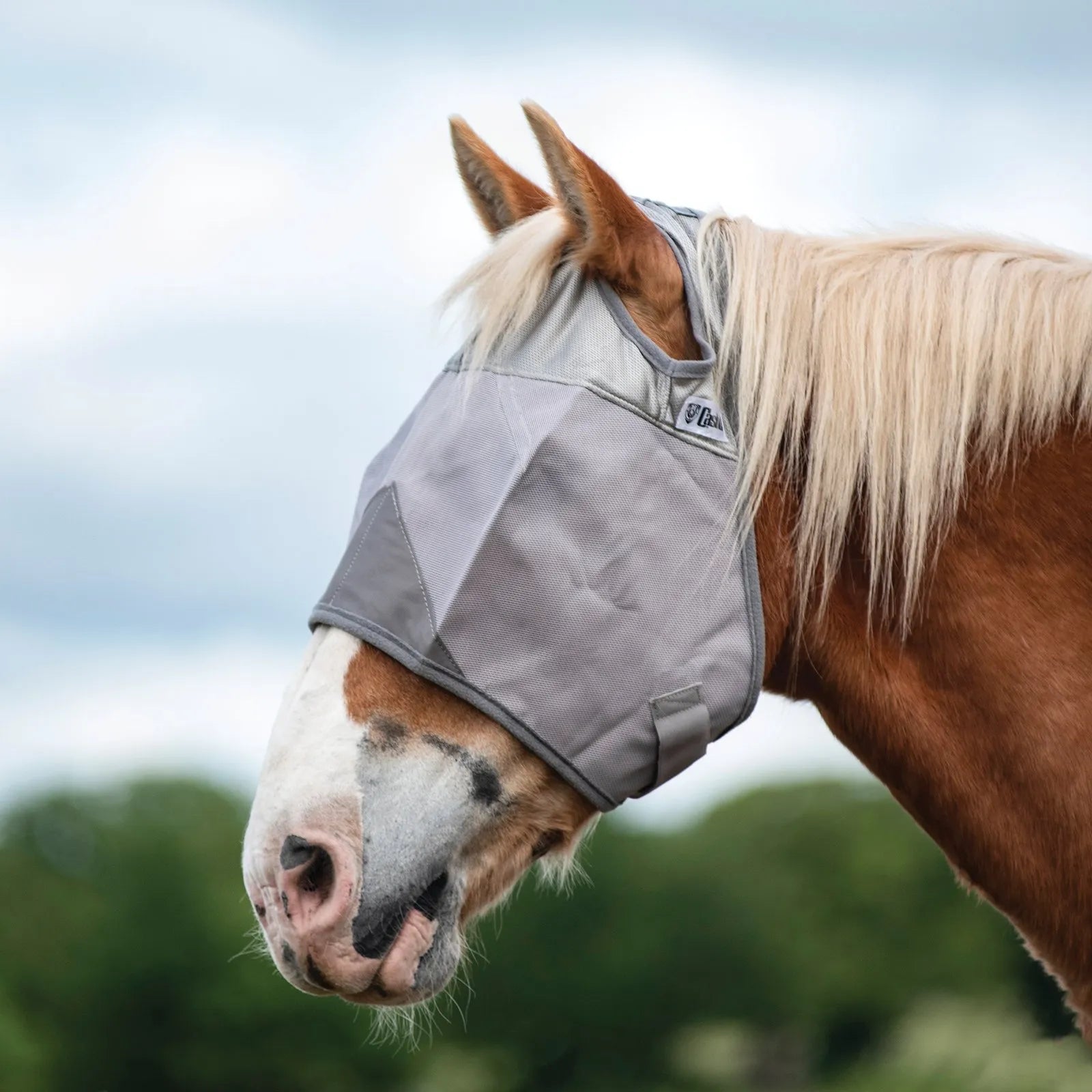 Cashel Crusader Sun Fly Mask in gray on a chestnut horse, providing ultimate UV and fly protection. This durable horse fly mask features a patented design to keep mesh away from eyes, breathable silver mesh, and ear openings. Ideal for protecting sensitive eyes from sun damage and pests during summer turnout. Premium equine sun protection mask for pasture safety and horse comfort.