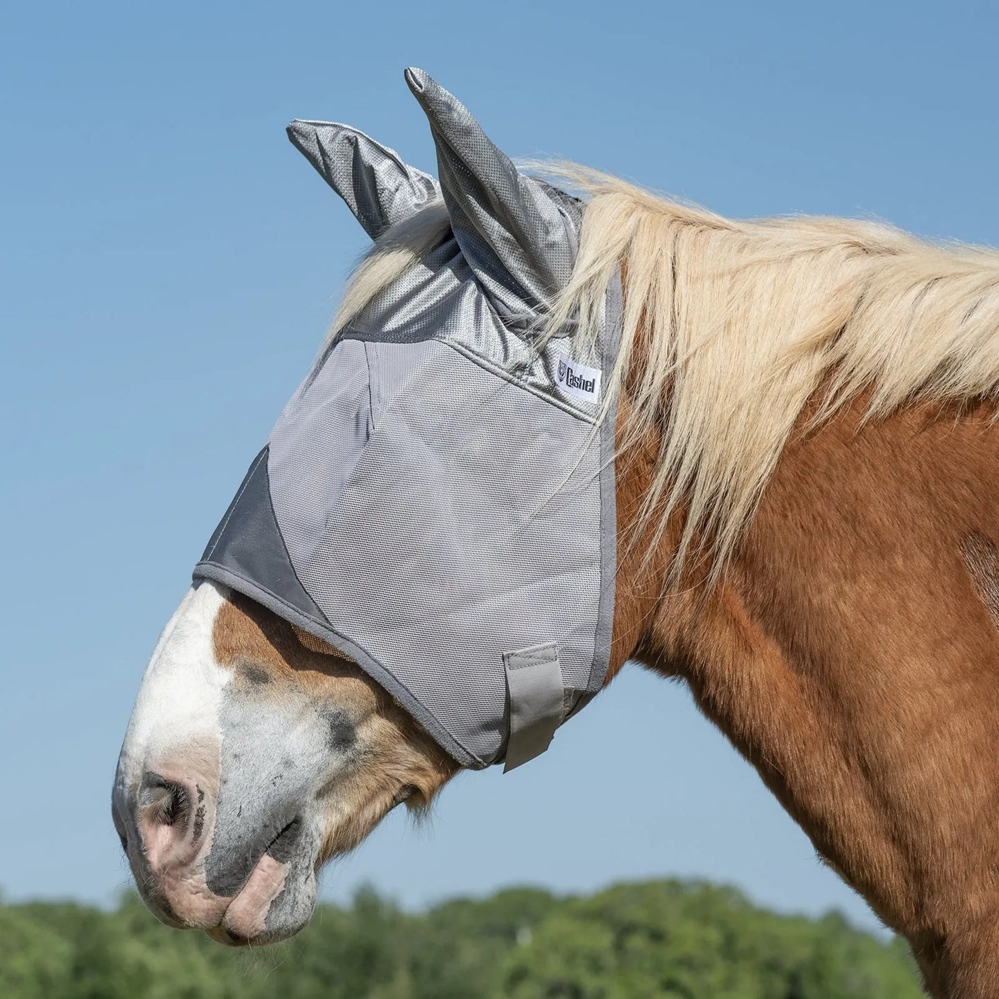 Cool Cashel Crusader Sun Fly Mask in gray mesh, designed for ultimate horse UV and fly protection. This horse fly mask with ears features a breathable, durable design that protects against pests while ensuring visibility. Shown on a chestnut horse with a blonde mane, this essential equine gear keeps your horse comfortable and shielded from the sun. Ideal for summer fly protection and sun-sensitive horses.