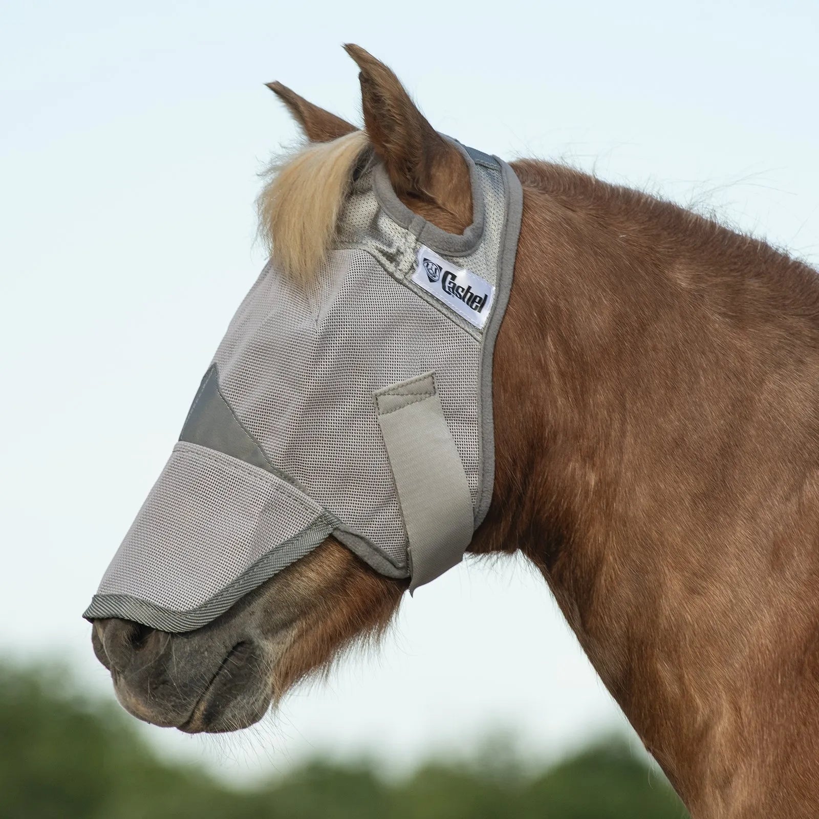Grey Cashel Crusader Sun Fly Mask with long nose coverage on a chestnut horse. This breathable mesh fly mask provides ultimate UV protection and fly defense for horses with sensitive skin. Features comfortable ear openings and a secure fit to keep pests away. Ideal equine sun protection and durable horse tack for pasture comfort and eye health.