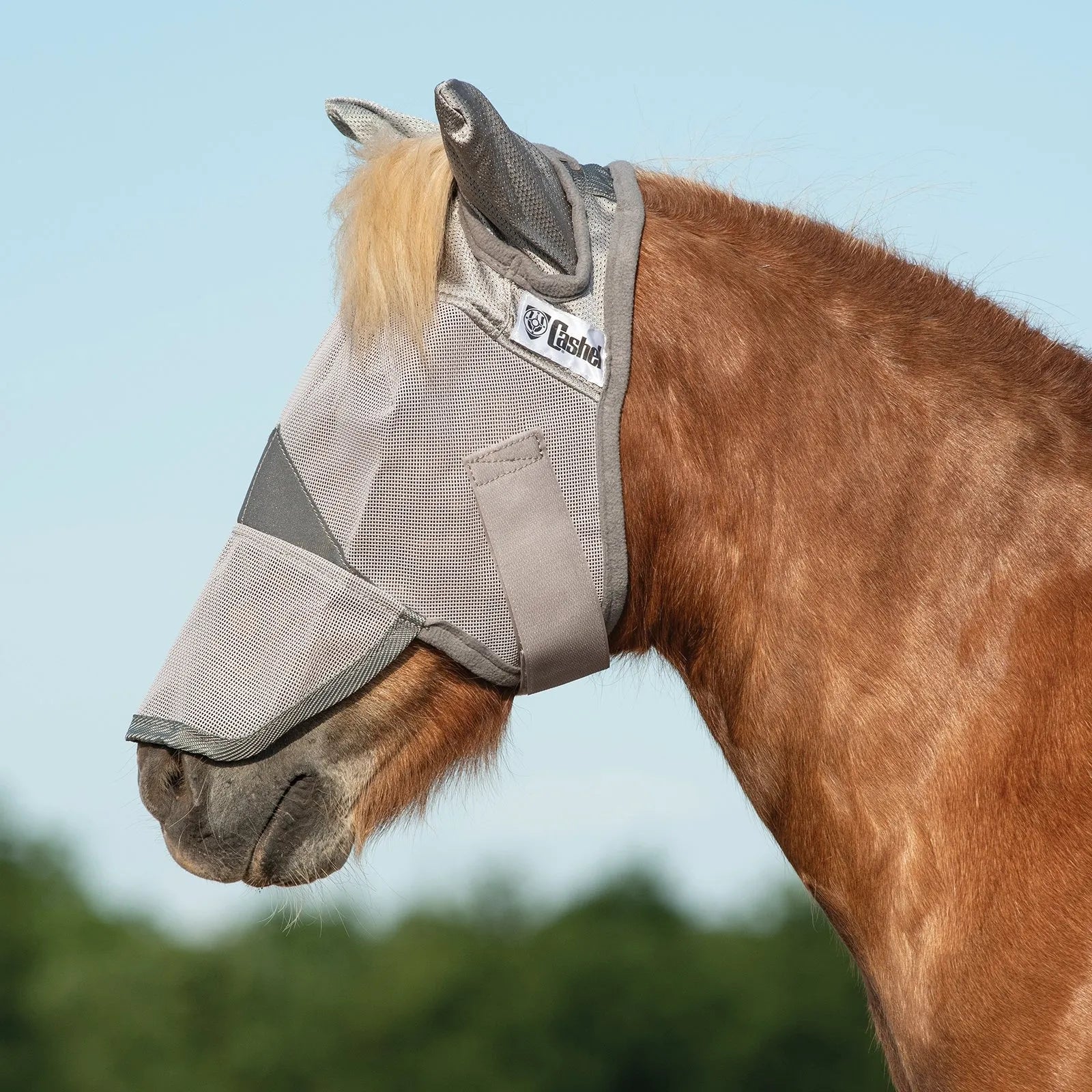 Cashel Crusader Sun Fly Mask in grey mesh, providing ultimate UV and fly protection for a chestnut horse. This long-nose design features ear coverage and breathable fabric to keep horses comfortable and shielded from pests and sun damage. Perfect for equestrian summer care, the durable Cashel mask ensures maximum visibility and skin protection in the field.