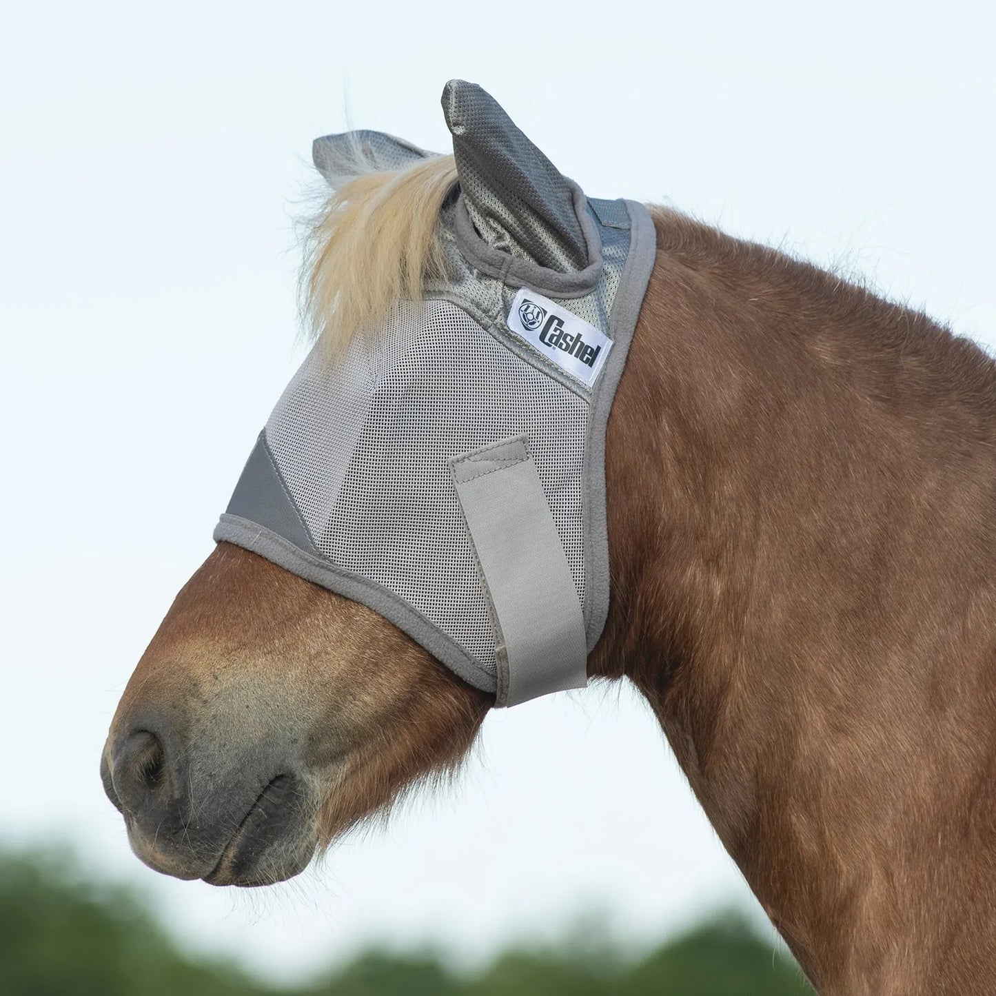 A chestnut horse wearing a grey Cashel Crusader Sun Fly Mask with ears. This breathable mesh horse fly mask offers ultimate UV protection and keeps flies away from sensitive eyes and ears. Featuring a secure adjustable strap and the Cashel logo, it is the perfect equine face protection for a comfortable, fly-free summer in the pasture.