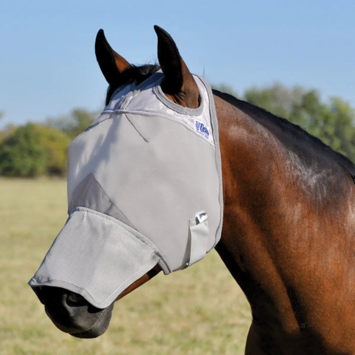 Cashel Crusader horse fly mask with long nose cover in light gray mesh, shown on a brown horse in a sunny field. This protective equine mask features ear holes for comfort and offers ultimate UV protection for sensitive eyes and skin. Designed for breathability and durability, it keeps pests away while preventing sunburn. High-quality horse gear ideal for pasture turnout and summer protection against flies and biting insects.