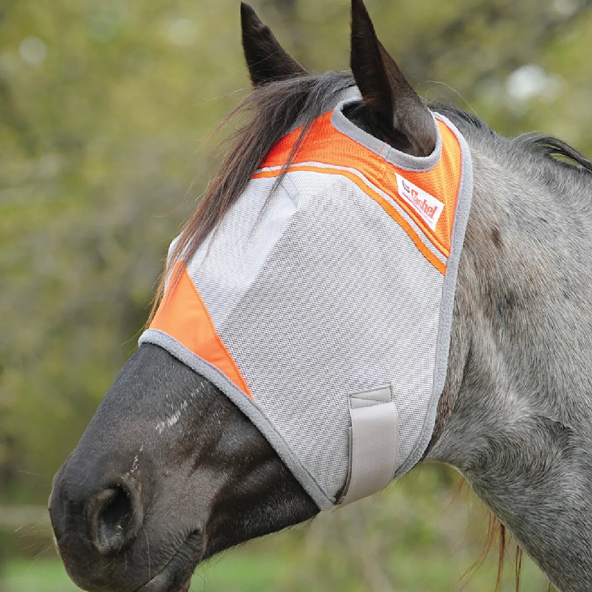 Cashel Crusader Sun Fly Mask in vibrant orange and grey on a roan horse. This protective horse fly mask features breathable mesh, ear holes for comfort, and a secure adjustable strap. Ideal for providing ultimate UV protection and keeping pests away during summer. High-visibility equestrian gear designed for comfort and durability in the pasture.