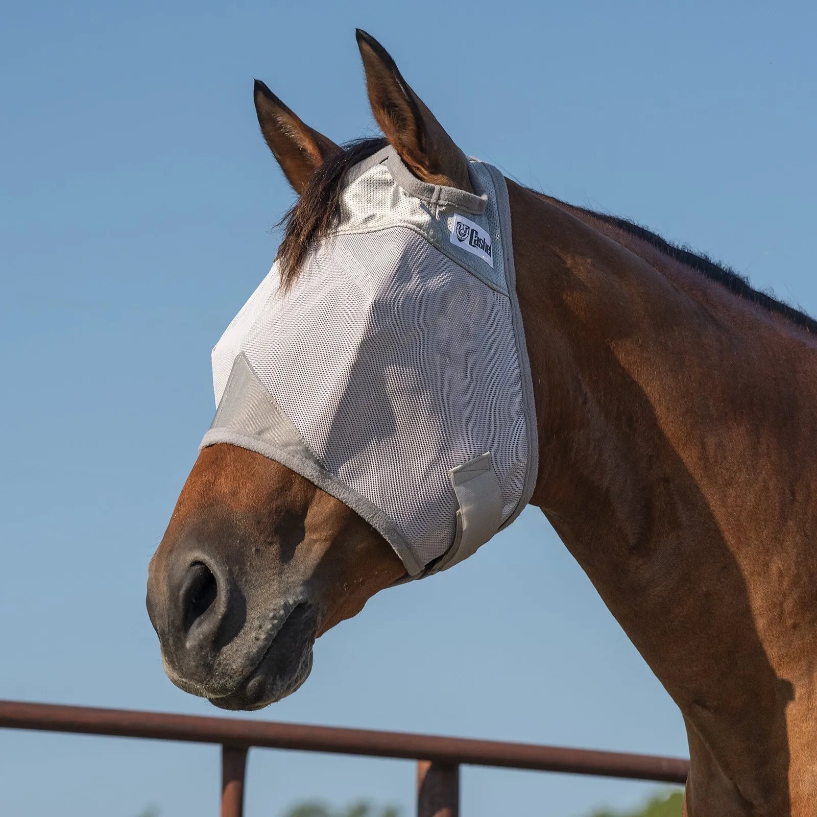 Cool Cashel Crusader Sun Fly Mask in grey mesh, expertly fitted on a bay horse. This protective equine mask features a durable, breathable design providing ultimate UV and fly protection for a horse's eyes and face. With comfortable ear holes and a secure strap, it’s an essential turnout accessory for horse insect defense and sun safety.