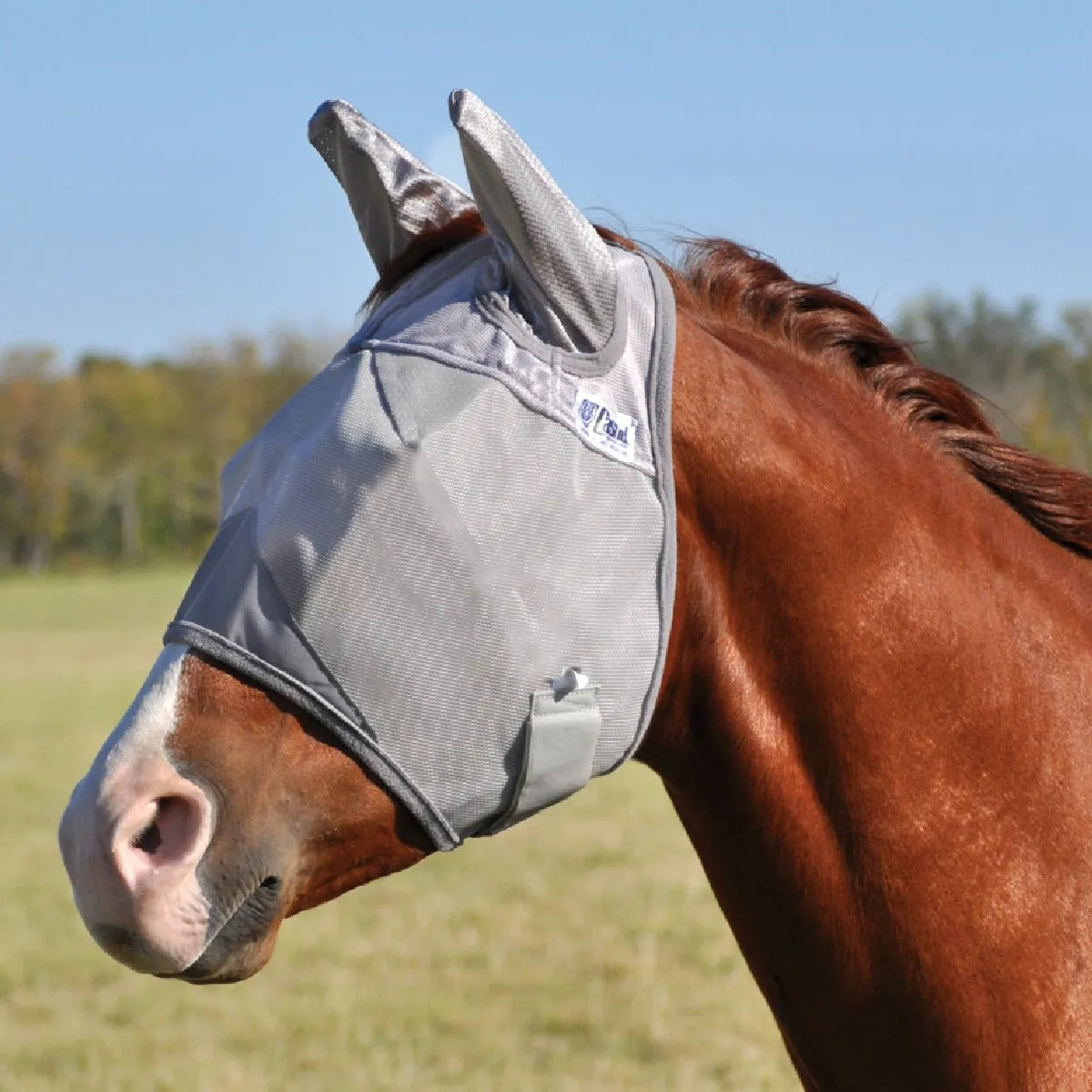 Cashel Crusader Fly Mask with ears in grey mesh, worn by a chestnut horse in a sunny field. This high-quality horse mask provides ultimate UV sun protection and shields sensitive eyes and ears from biting flies and insects. The breathable, durable design ensures maximum comfort during summer turnout, featuring a secure adjustable strap and clear visibility for grazing.