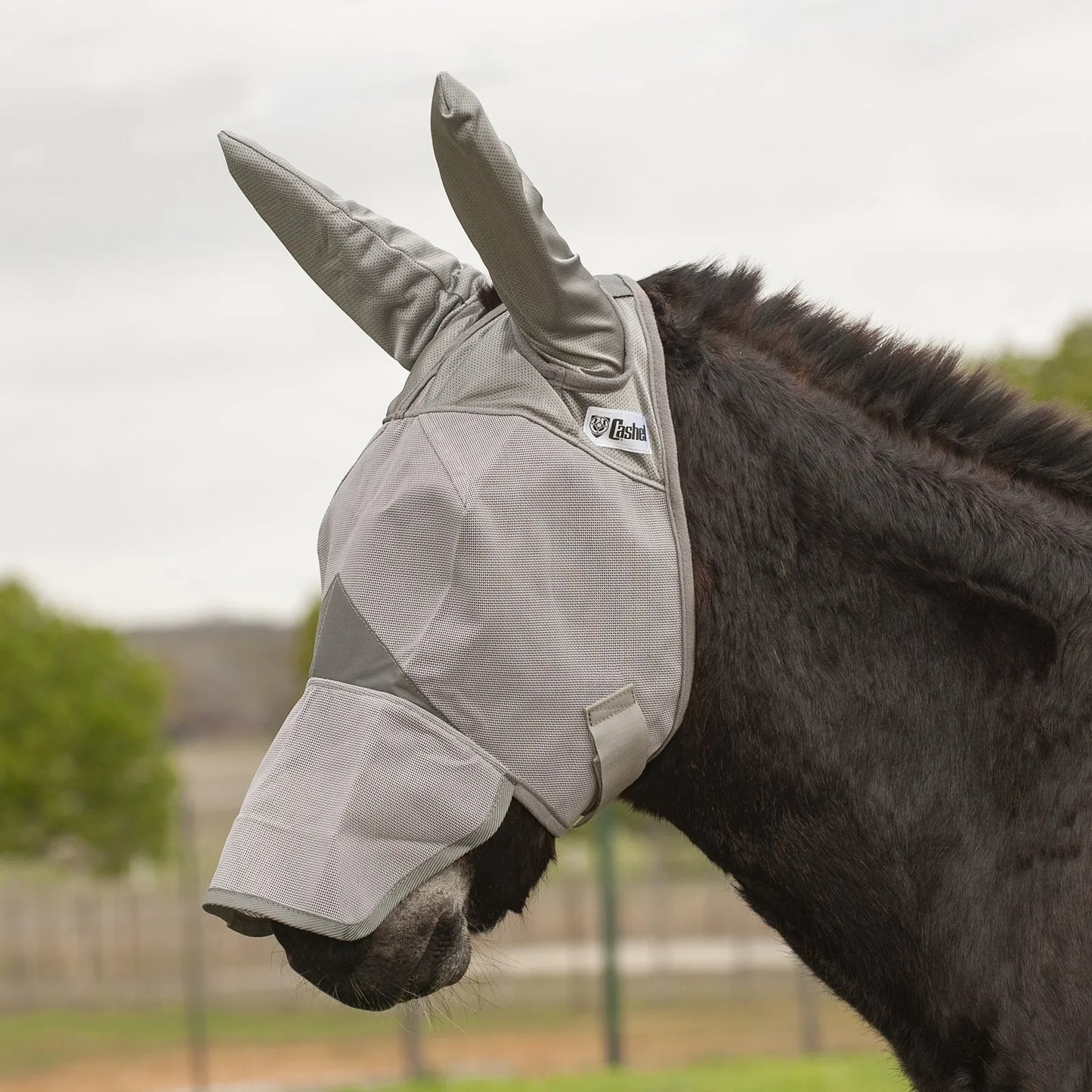 Cashel Crusader Sun Fly Mask in grey mesh, featuring a long nose and ear covers for total UV and fly protection. This breathable horse fly mask protects sensitive eyes and skin from sun damage and biting insects. Shown on a donkey, highlighting the durable design and extra-long ear protection. Ideal for horses, donkeys, and mules needing comprehensive pasture defense.
