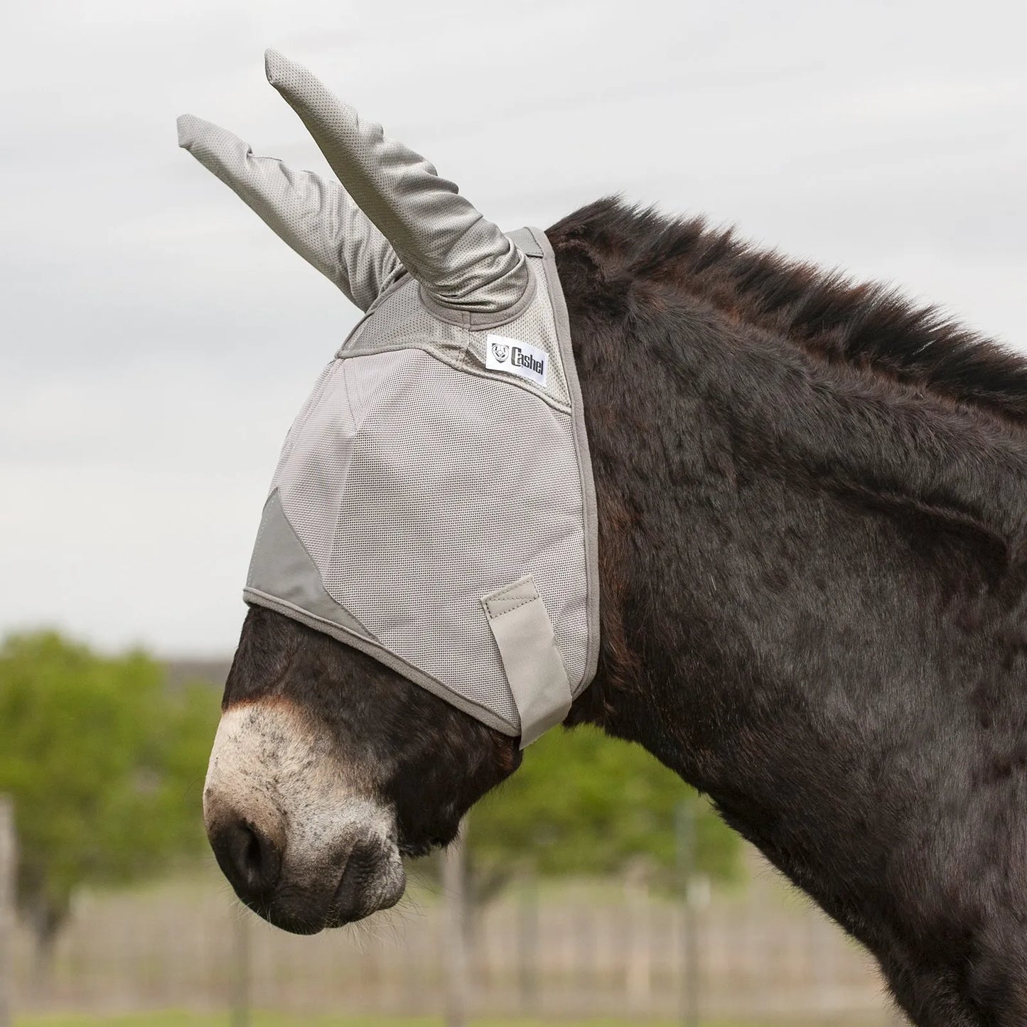 Cashel Crusader Sun Fly Mask in grey, featuring long ear covers for maximum fly and UV protection. This durable mesh mask shields a horse or mule's eyes and ears from irritating pests and sun damage. Essential equine gear for keeping your horse comfortable and protected during summer turnout.