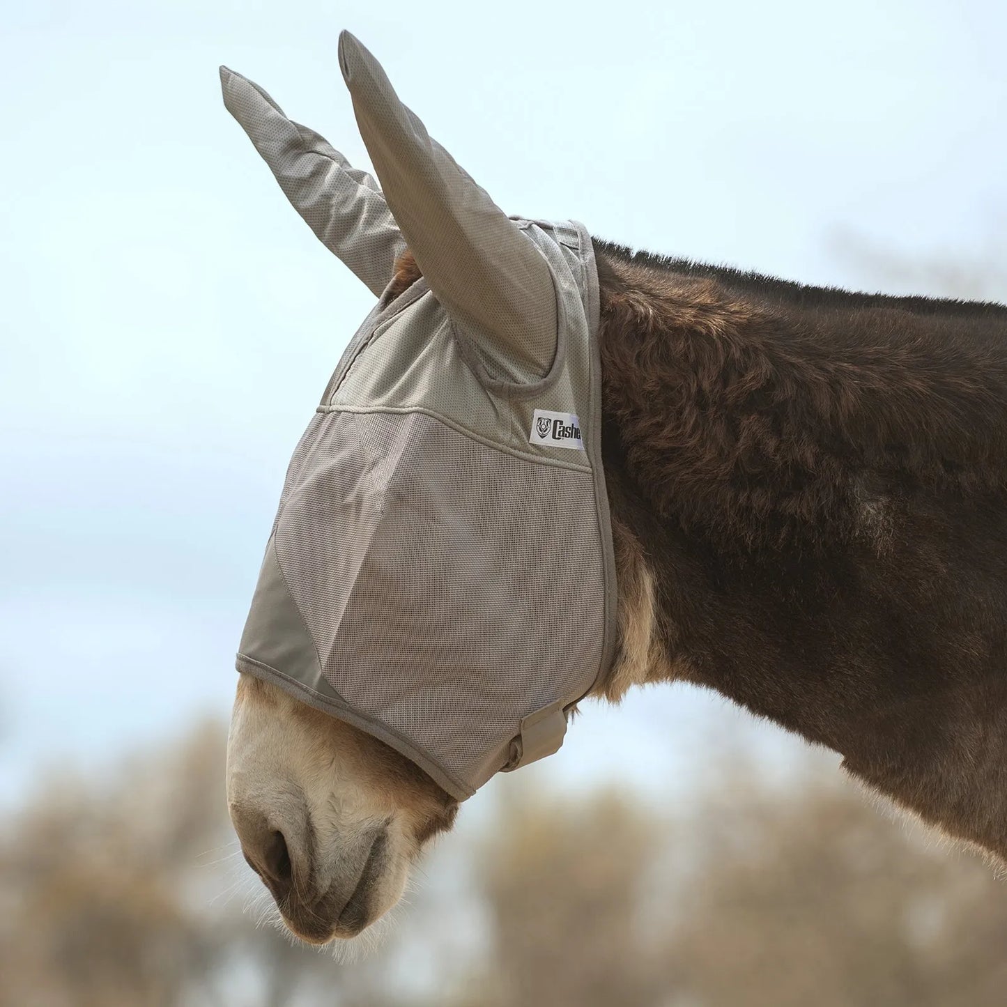 Cashel Crusader Sun Fly Mask in grey, featuring long ear covers specifically designed for mules or horses. This breathable mesh mask provides ultimate UV and fly protection, shielding eyes and ears from sunlight and biting insects. A durable, comfortable solution for equine pest control, it ensures a secure fit for grazing in the sun. Perfect for owners seeking high-quality, long-lasting insect and sun protection for their animals.