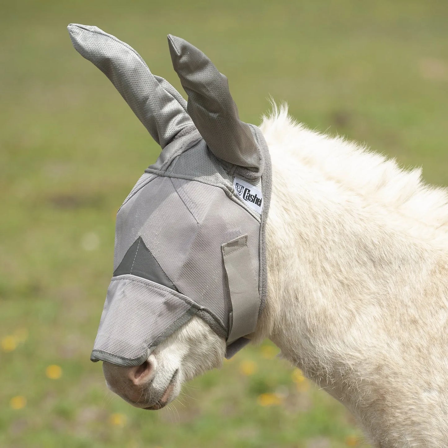 Cool Cashel Crusader Sun Fly Mask in grey, featuring long ear covers and a protective nose piece on a white mule. Designed for ultimate UV and fly protection, this equine face mask uses breathable mesh to keep pests away while ensuring comfort and visibility. Perfect for horses and mules in sunny pastures, this Cashel fly mask provides superior coverage for sensitive skin and eyes with a secure, ergonomic fit.