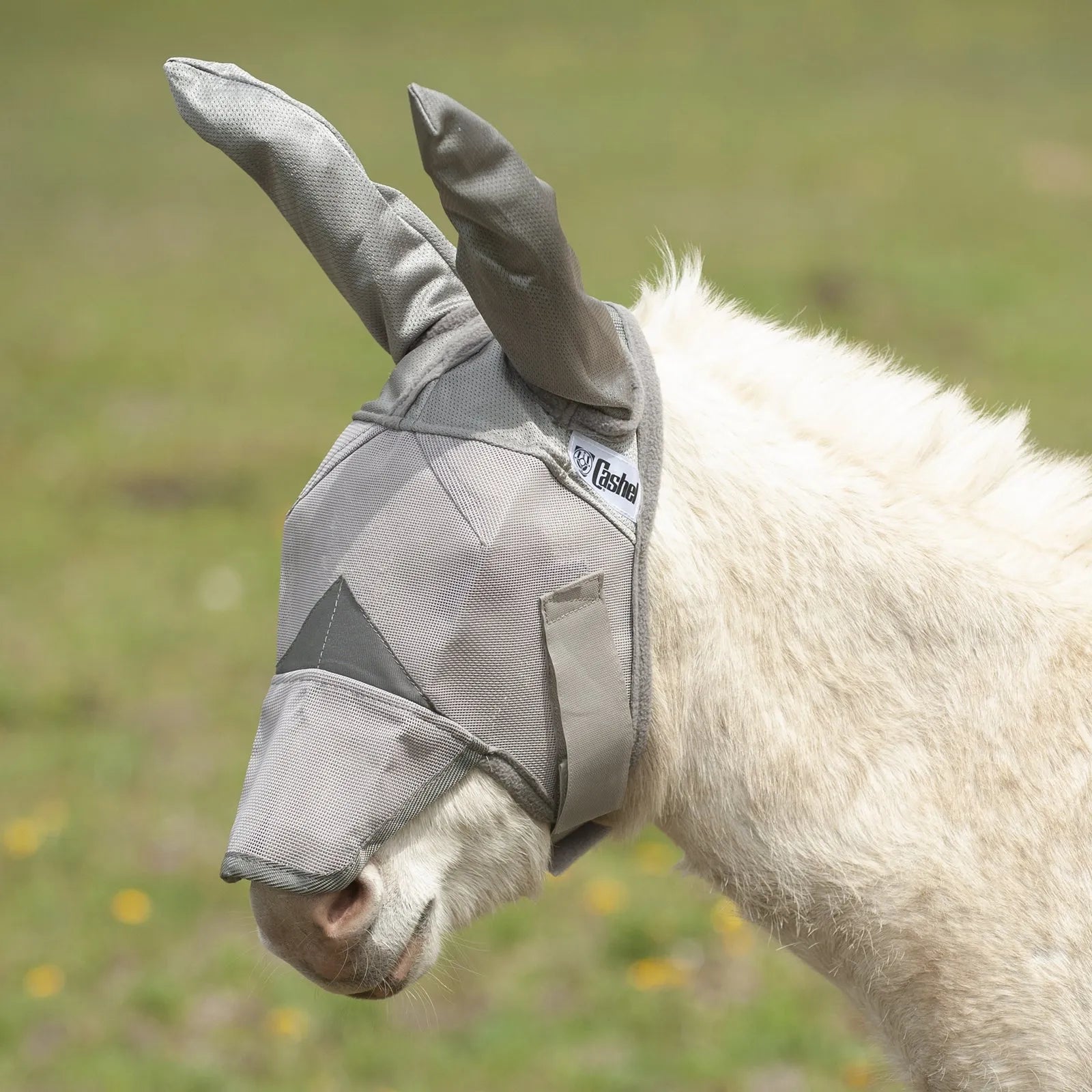 Cool Cashel Crusader Sun Fly Mask in grey, featuring long ear covers and a protective nose piece on a white mule. Designed for ultimate UV and fly protection, this equine face mask uses breathable mesh to keep pests away while ensuring comfort and visibility. Perfect for horses and mules in sunny pastures, this Cashel fly mask provides superior coverage for sensitive skin and eyes with a secure, ergonomic fit.