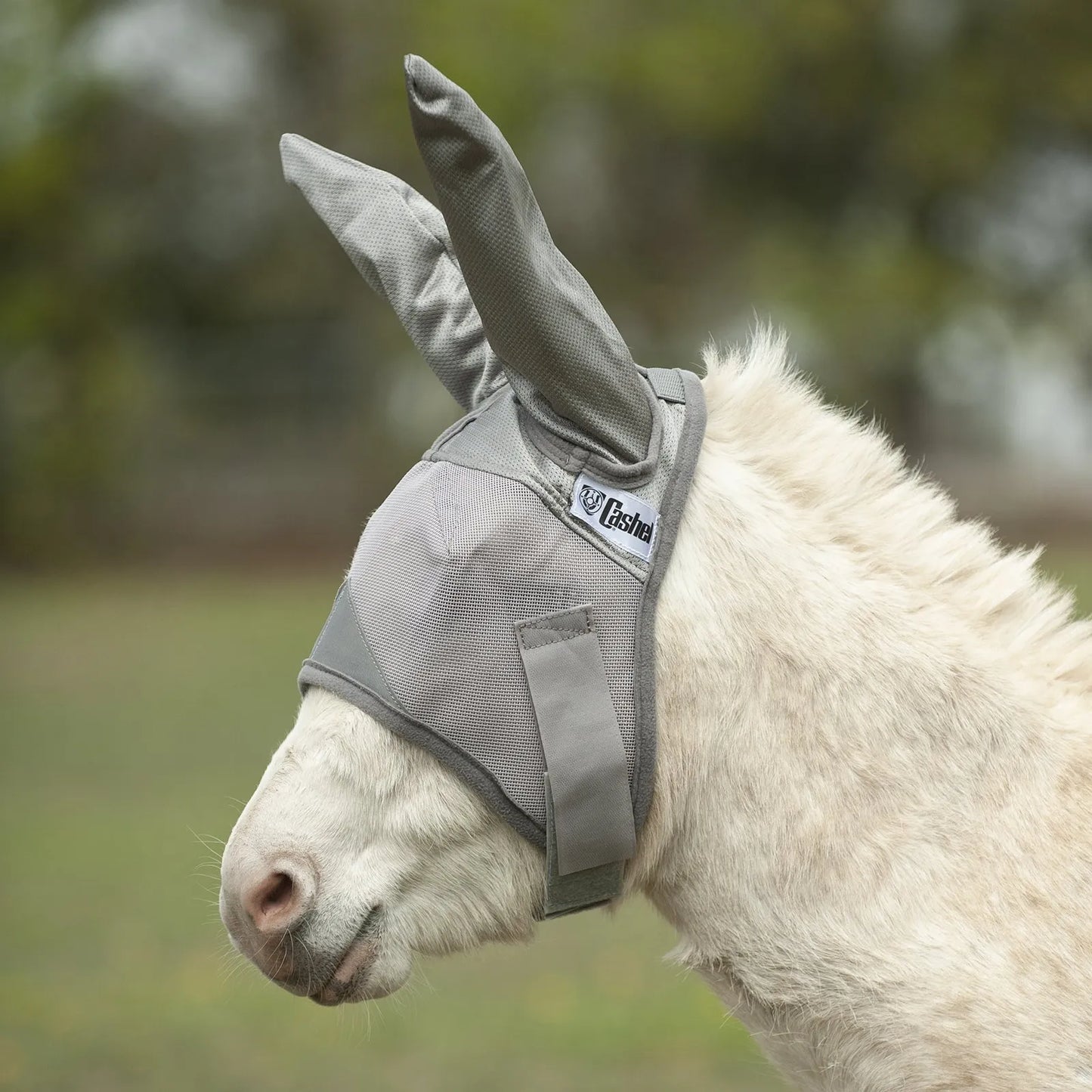 Cashel Crusader Sun Fly Mask in grey, specifically designed with long ear covers for donkeys and mules. This breathable mesh fly mask provides ultimate UV protection and shields eyes and ears from irritating flies and pests. Featuring a durable, secure fit with a soft lining, it's the perfect solution for equine sun protection during pasture turnout. Keep your horse or donkey comfortable and bug-free all summer long.