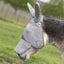 Grey Cashel Crusader Sun Fly Mask with long nose and ear protection on a donkey. This high-quality equine fly mask offers ultimate UV protection and shields against biting insects. Features durable, breathable grey mesh and long ears designed for mules or donkeys. Ideal for summer pasture turnout to keep your horse or donkey comfortable, safe from sun damage, and free from flies.