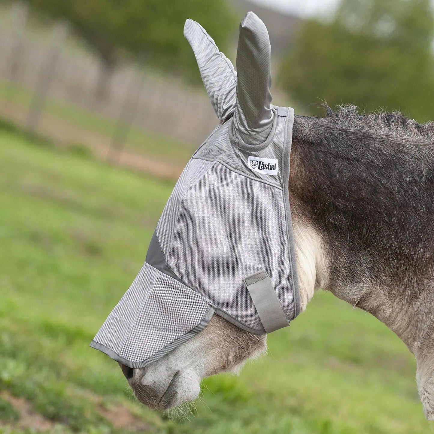 Grey Cashel Crusader Sun Fly Mask with long nose and ear protection on a donkey. This high-quality equine fly mask offers ultimate UV protection and shields against biting insects. Features durable, breathable grey mesh and long ears designed for mules or donkeys. Ideal for summer pasture turnout to keep your horse or donkey comfortable, safe from sun damage, and free from flies.