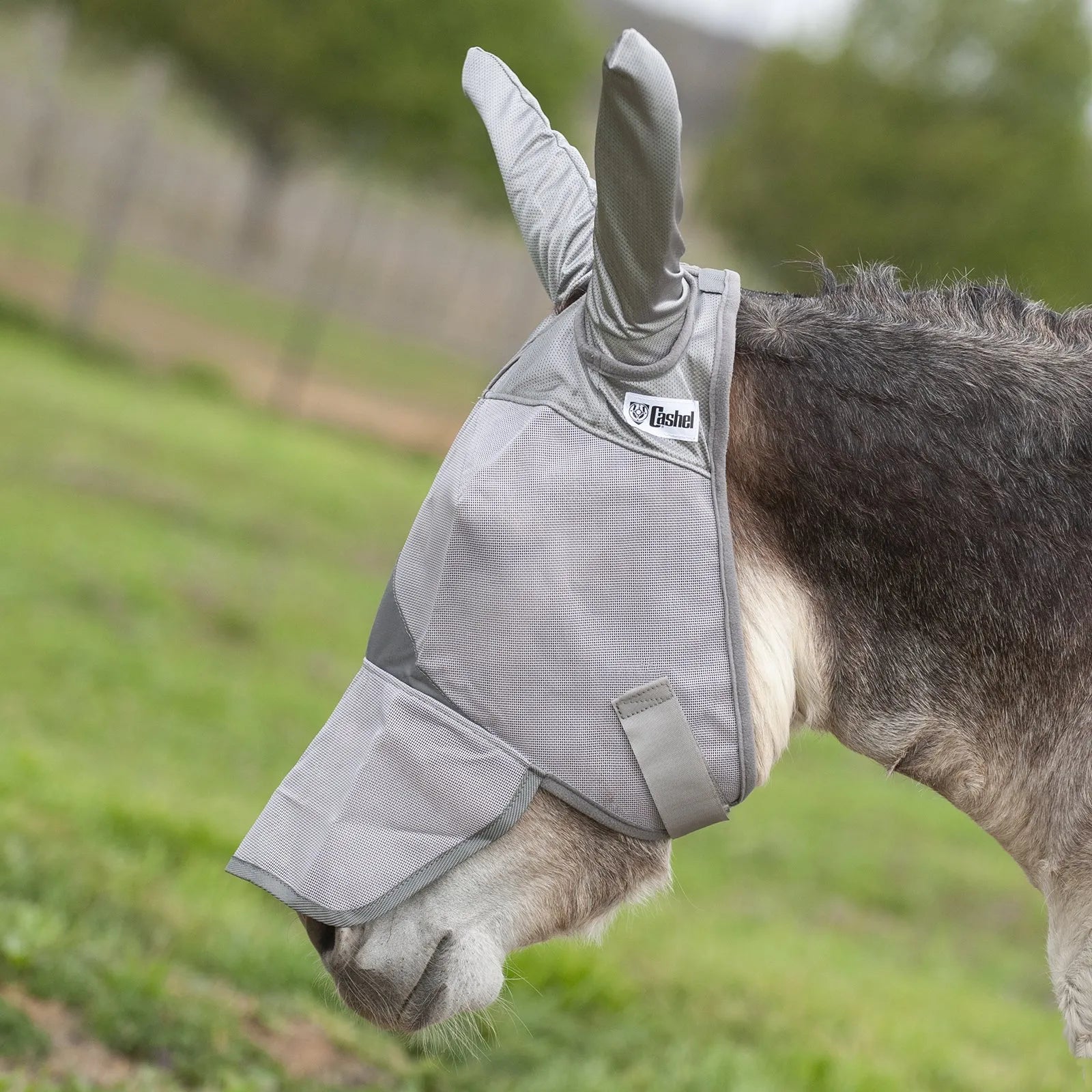 Grey Cashel Crusader Sun Fly Mask with long nose and ear protection on a donkey. This high-quality equine fly mask offers ultimate UV protection and shields against biting insects. Features durable, breathable grey mesh and long ears designed for mules or donkeys. Ideal for summer pasture turnout to keep your horse or donkey comfortable, safe from sun damage, and free from flies.