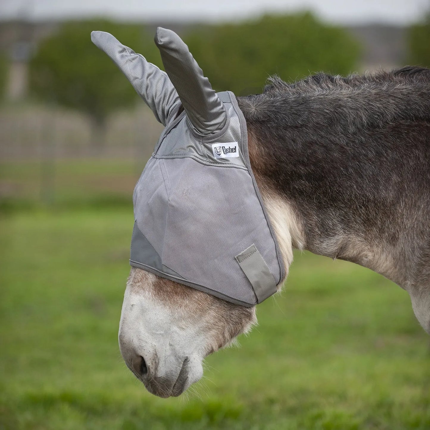 Grey Cashel Crusader Sun Fly Mask with long ears providing ultimate UV and fly protection for horses and donkeys. The breathable mesh design and durable grey fabric cover the eyes and ears to prevent irritation from pests and sun damage. This equine fly mask is shown on a donkey in a green field, highlighting its secure fit and comfort for long-term outdoor wear. Ideal for summer horse care, pest management, and protecting sensitive skin.