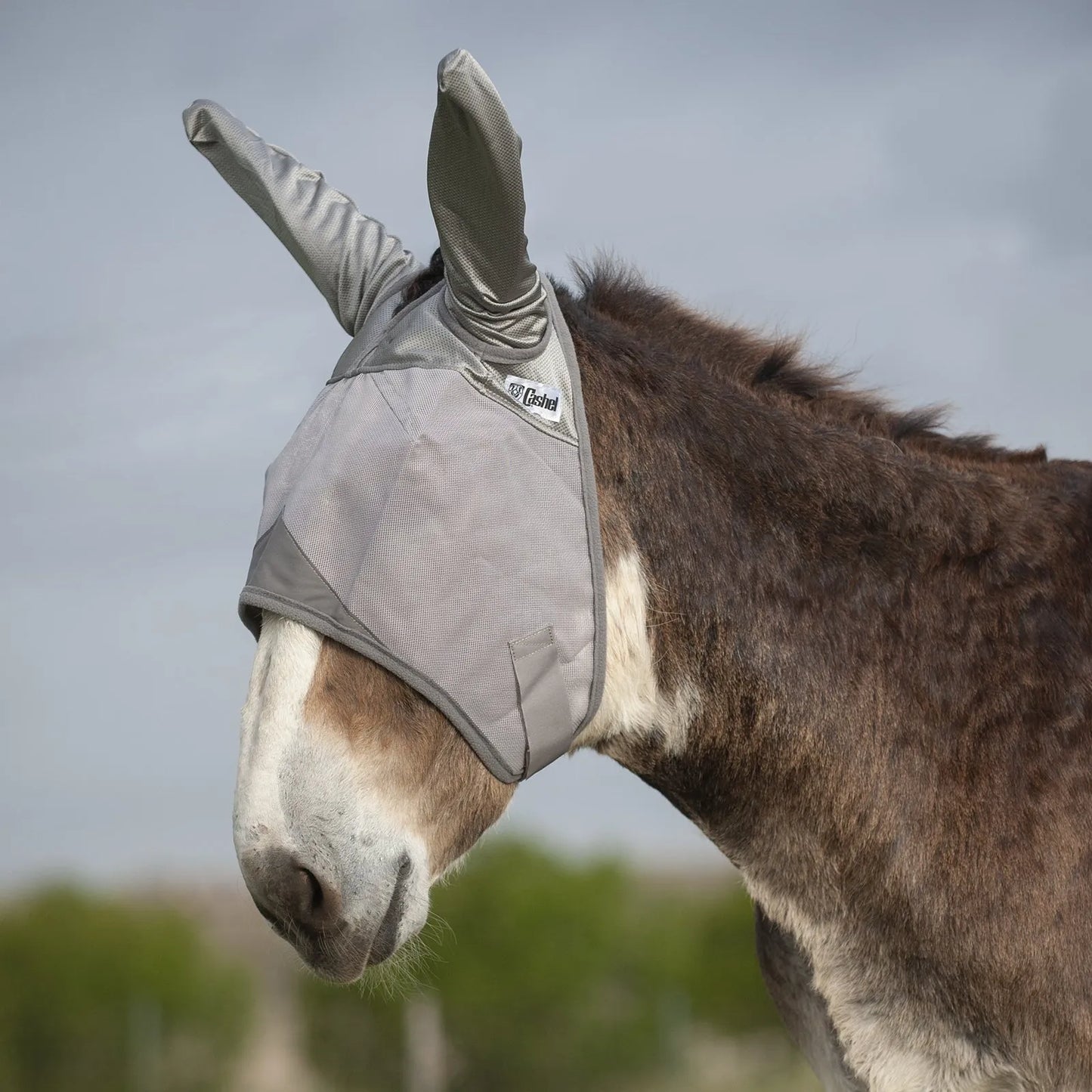 Cashel Crusader Sun Fly Mask in cool grey mesh, designed for ultimate UV and fly protection. This horse and mule fly mask features long ear covers and a breathable mesh design that protects sensitive eyes and ears from pests and harmful sun rays. Durable equestrian gear for daily pasture use and superior insect defense.