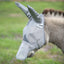 Grey Cashel Crusader Sun Fly Mask with long ears and nose extension, providing ultimate UV and fly protection for horses and donkeys. This breathable mesh mask protects sensitive eyes and ears from pests and sun damage. Durable equestrian gear for full coverage and pasture comfort.