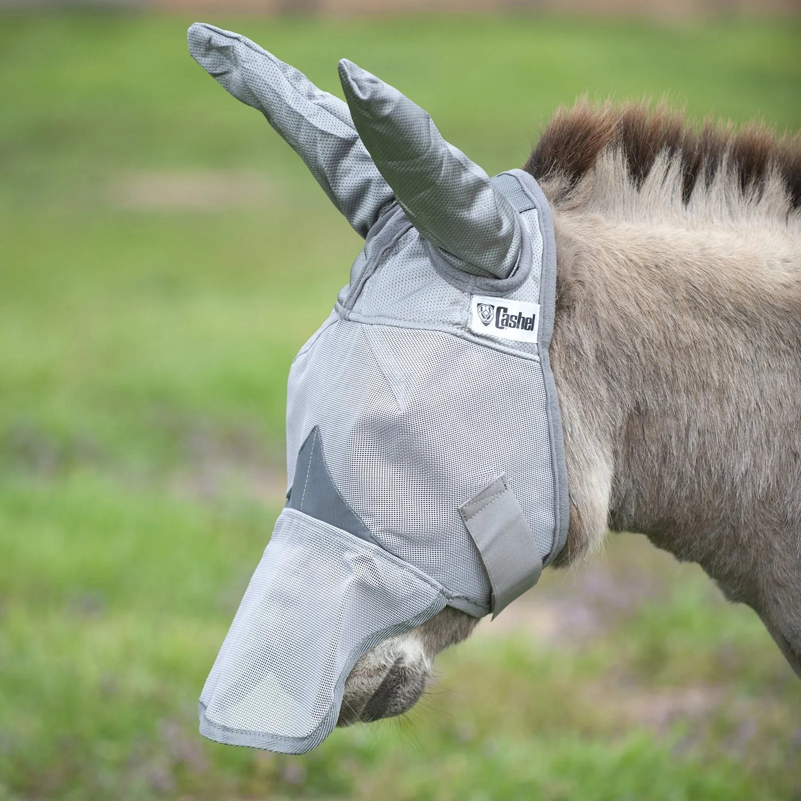 Grey Cashel Crusader Sun Fly Mask with long ears and nose extension, providing ultimate UV and fly protection for horses and donkeys. This breathable mesh mask protects sensitive eyes and ears from pests and sun damage. Durable equestrian gear for full coverage and pasture comfort.