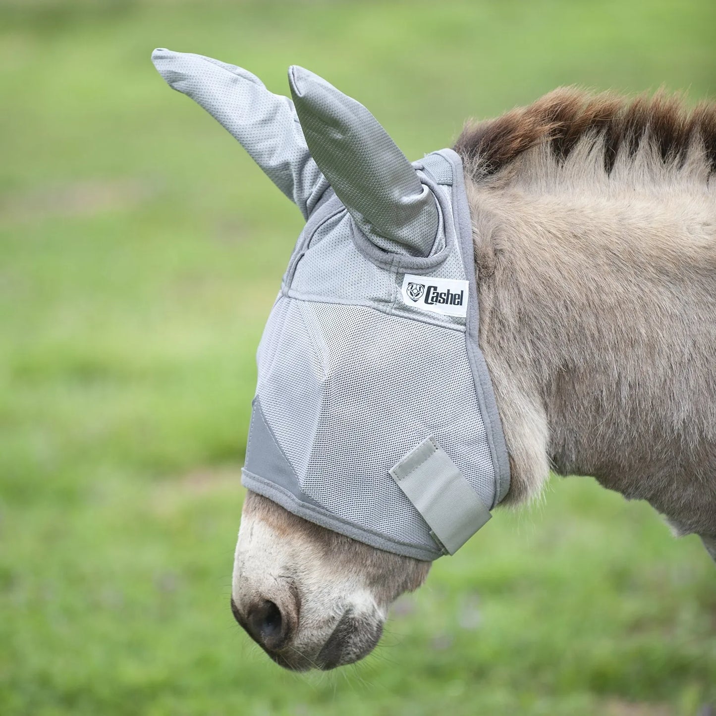 Cashel Crusader Fly Mask with long ears in light grey, specifically designed for donkeys and mules. This breathable mesh mask provides ultimate UV and fly protection, shielding the face and sensitive ears from pests and sun damage. Features a comfortable, secure fit for all-day pasture wear. Perfect for equine owners seeking durable, high-quality pest relief and sun defense for their long-eared friends.