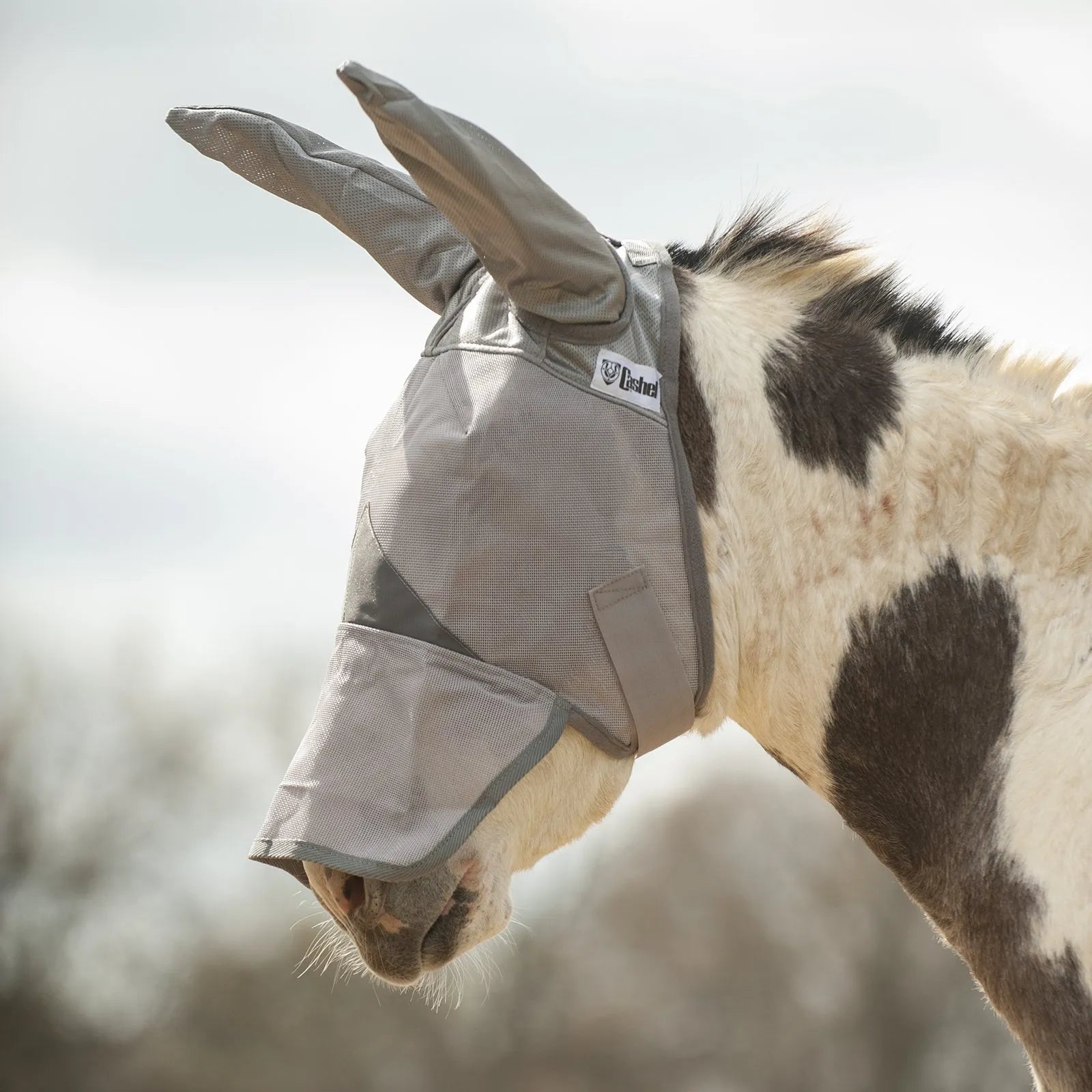 Side view of a spotted mule wearing a grey Cashel Crusader Fly Mask with extra-long ear covers and nose protection. This high-quality mesh mask offers ultimate UV and fly protection, shielding the eyes, ears, and sensitive nose from pests and sun damage. A must-have horse accessory for equines, combining durability with breathable comfort for maximum insect defense and sun safety.
