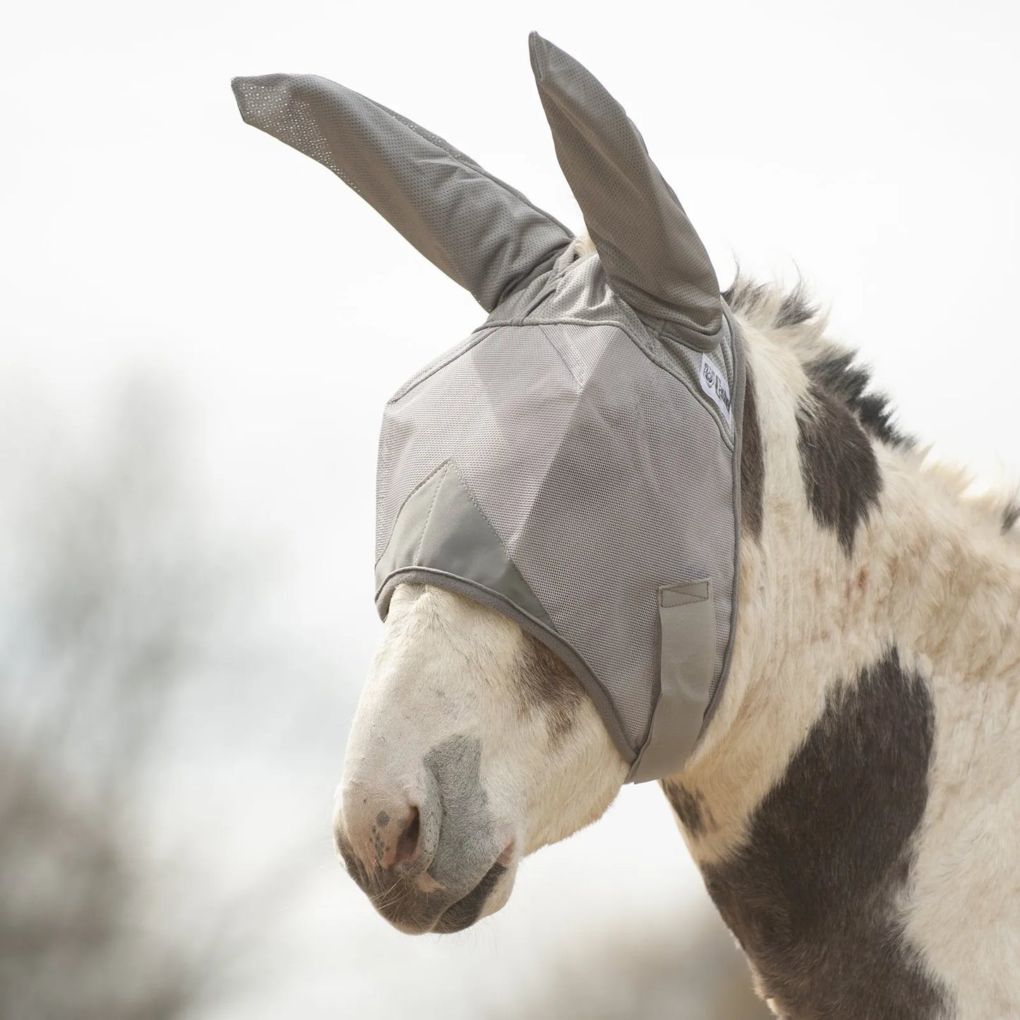 Cashel Crusader Sun Fly Mask in grey with long ears, shown on a spotted donkey. This premium horse fly mask provides ultimate UV and fly protection with a breathable, darted mesh design that keeps the fabric safely away from the eyes. Durable and comfortable equine gear designed to protect sensitive ears and eyes from pests and sun damage in the pasture. Perfect for horses, mules, and donkeys needing reliable fly defense.