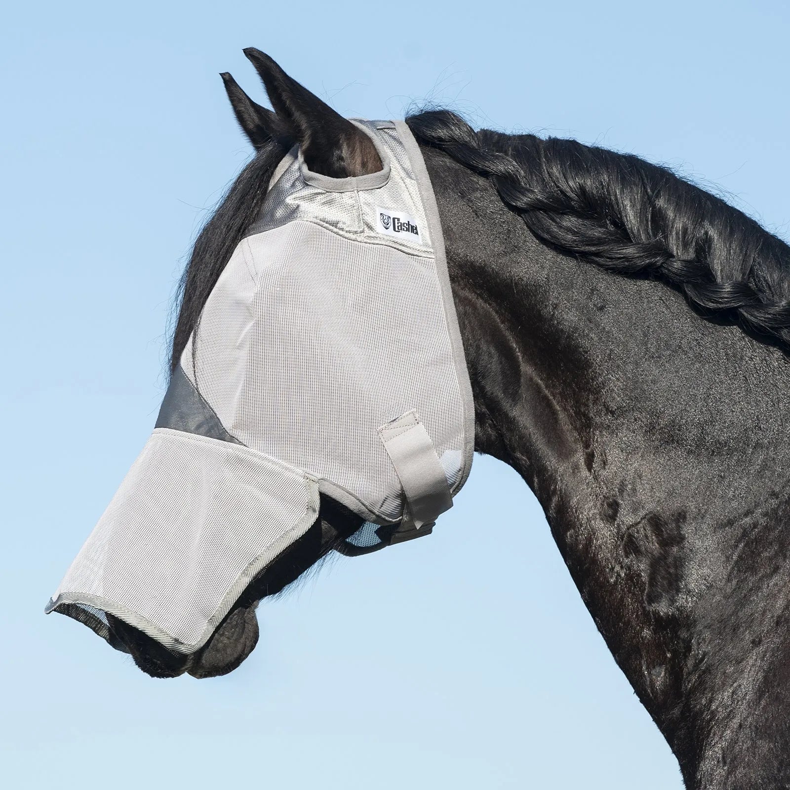 Cashel Crusader Silver Fly Mask with Nose on a black horse with a braided mane. This long-nose fly mask provides ultimate UV protection and insect defense. Featuring durable, breathable mesh and a secure fit, it’s the essential equestrian gear for horse fly relief and sun protection. Ideal for horses with sensitive skin or light-colored noses needing full-face coverage during turnout.