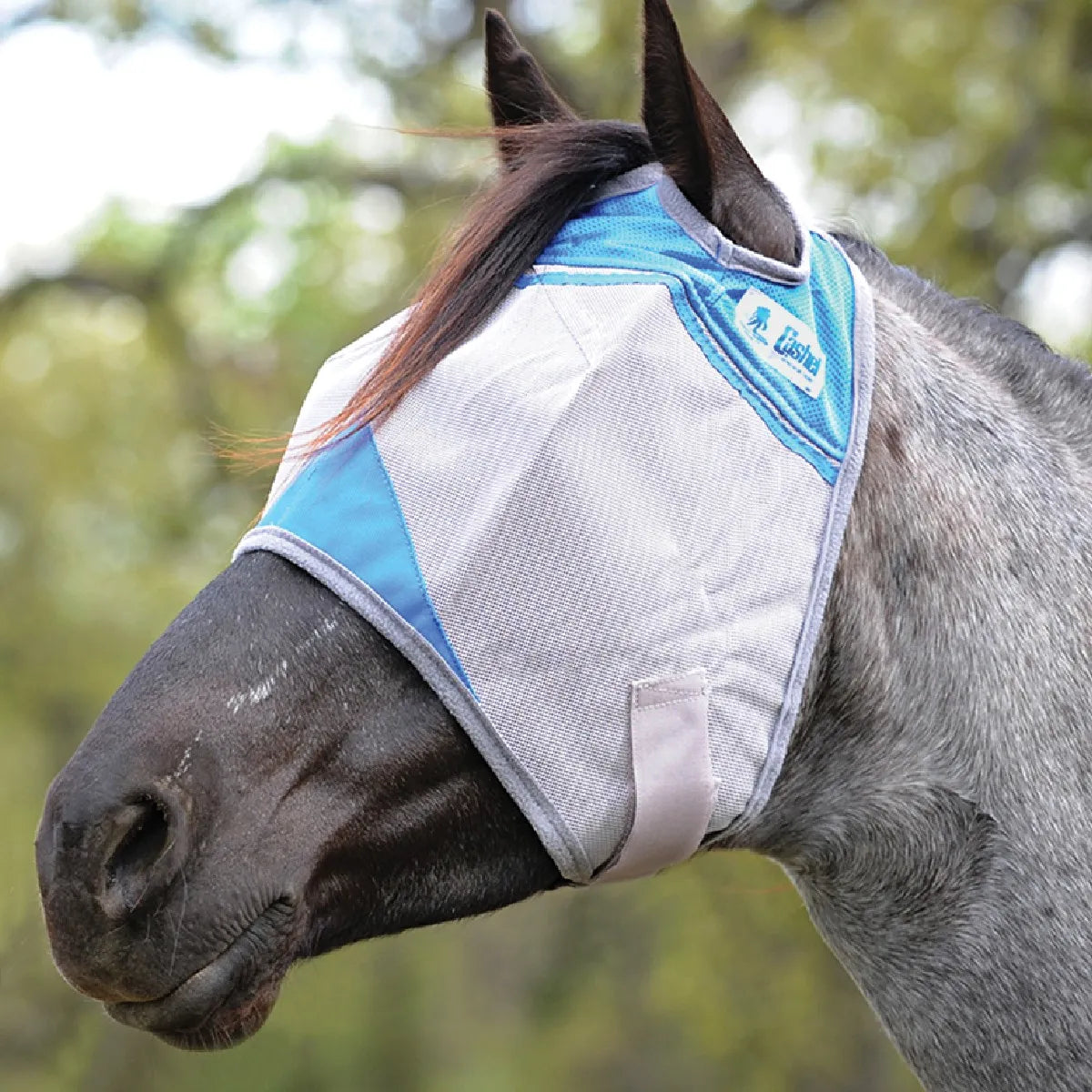 Cool Cashel Crusader Sun Fly Mask in light gray mesh with vibrant blue trim worn by a roan horse. This durable horse fly mask features ear holes and a secure hook-and-loop closure for ultimate UV protection and fly defense. High-quality equestrian gear designed to keep horses comfortable in the pasture while preventing eye irritation and sun damage.