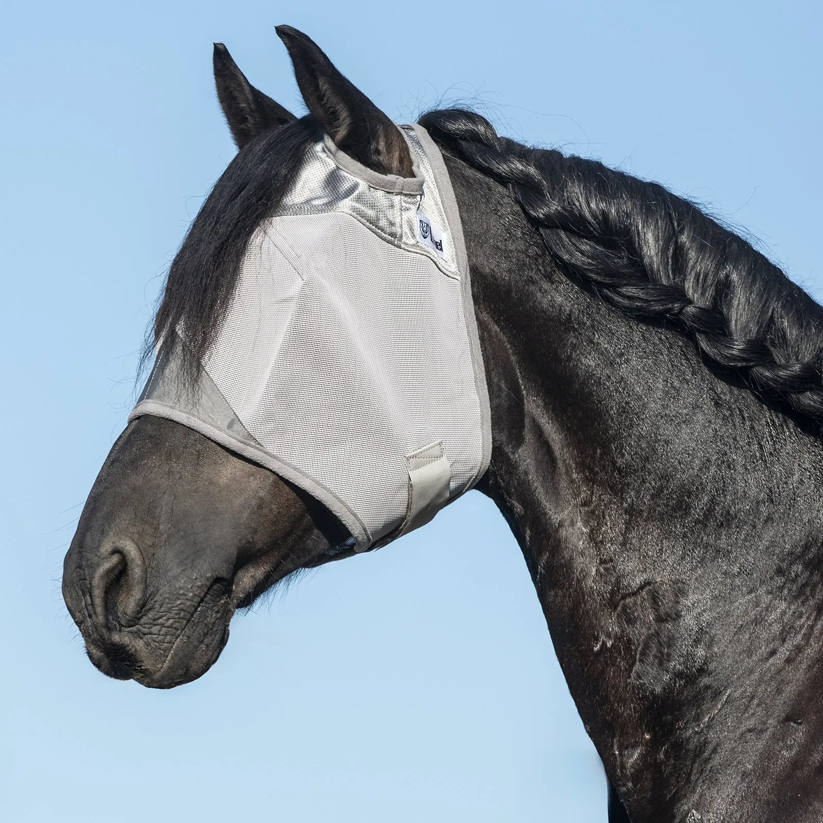 Cool Cashel Crusader Sun Fly Mask in grey, expertly fitted on a black horse with a beautifully braided mane. This high-quality mesh fly mask offers ultimate UV and fly protection, featuring a silver reflective crown and durable construction. Essential equine gear for sun protection and insect defense during summer turnout, ensuring horse comfort and clear vision.