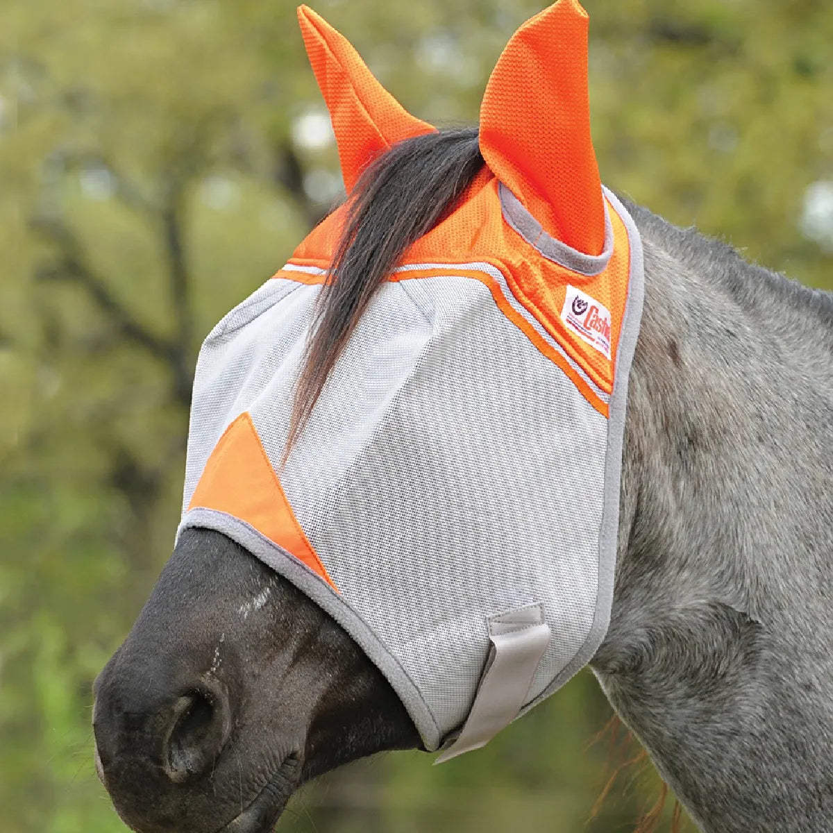 Cool Cashel Crusader Sun Fly Mask in bright orange and grey on a horse. This premium horse fly mask features breathable mesh ears and superior UV protection to keep eyes safe from sun and pests. The durable design includes a secure throat latch strap and a forelock opening, ensuring a comfortable, stable fit for summer pasture safety. Essential equestrian gear for reliable fly control and sun defense.