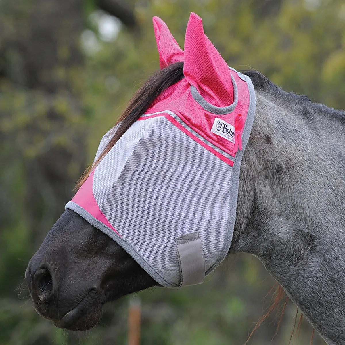 Cashel Crusader Fly Mask in hot pink and grey shown on a grey horse, featuring protective ear covers and breathable mesh. This ultimate UV and fly protection mask includes soft grey fleece edges to prevent rubbing and a secure hook-and-loop closure. Ideal for equestrian sun safety, this stylish pink fly mask combines comfort and durability for peak performance during summer turnout.
