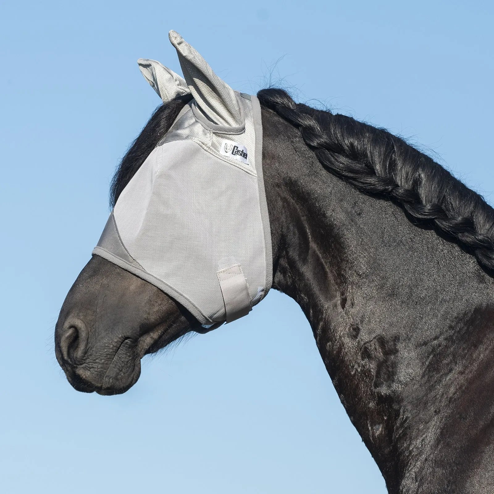 Cashel Crusader Fly Mask with ears on a black horse with a beautifully braided mane. This high-quality grey horse fly mask offers ultimate UV protection and shields against pesky insects. Featuring a durable mesh design and comfortable ear covers, it’s an essential equestrian accessory for summer sun protection. The sleek silver mask fits securely, ensuring your horse stays fly-free and comfortable in the pasture against a clear blue sky.