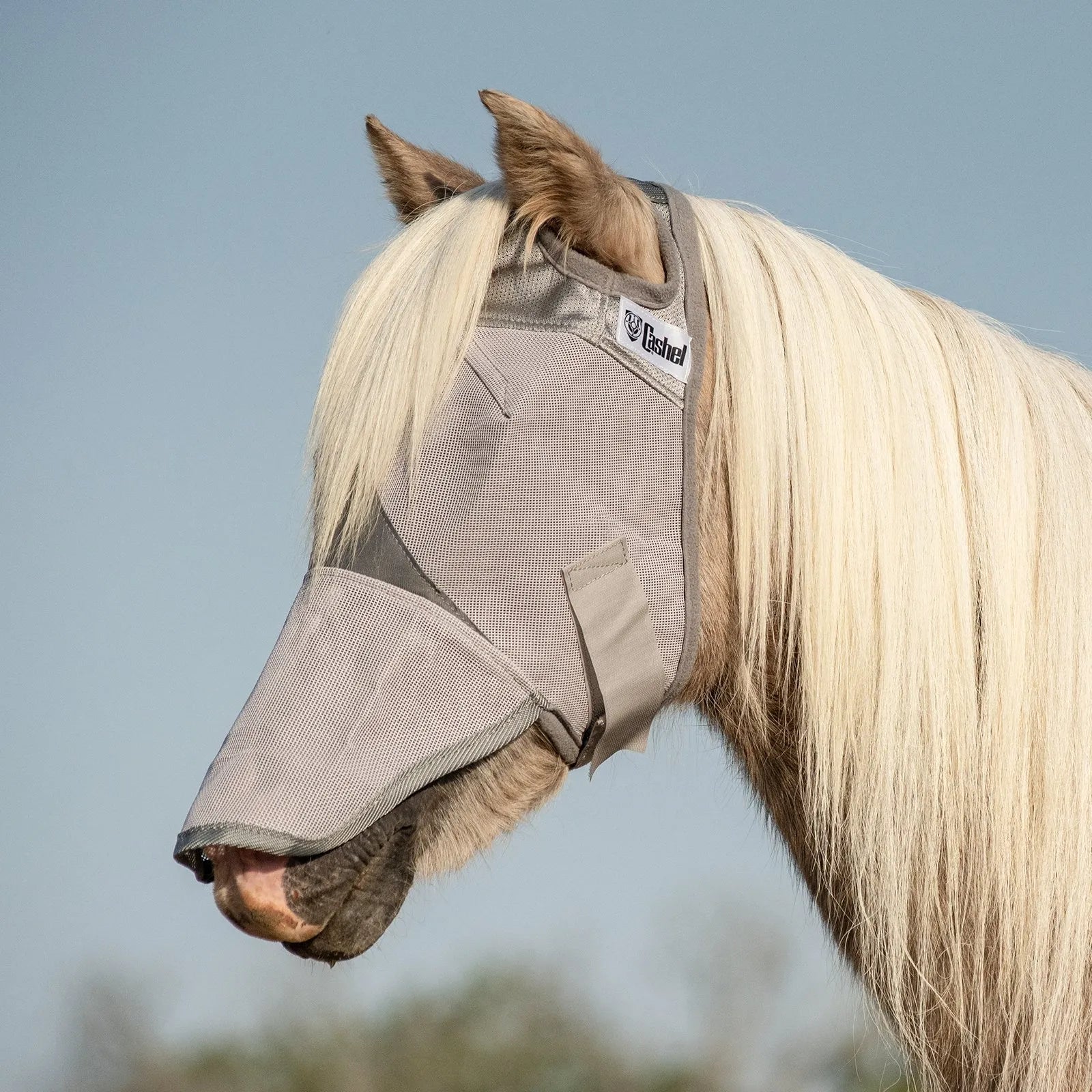 Cool Cashel Crusader Sun Fly Mask with long nose and ear holes in grey, shown on a horse with a flowing white mane. This breathable mesh horse fly mask provides ultimate UV and fly protection, shielding eyes and sensitive noses from sun and pests. Featuring a secure adjustable strap and Cashel branding, it is the perfect equestrian accessory for summer pasture comfort and fly prevention.