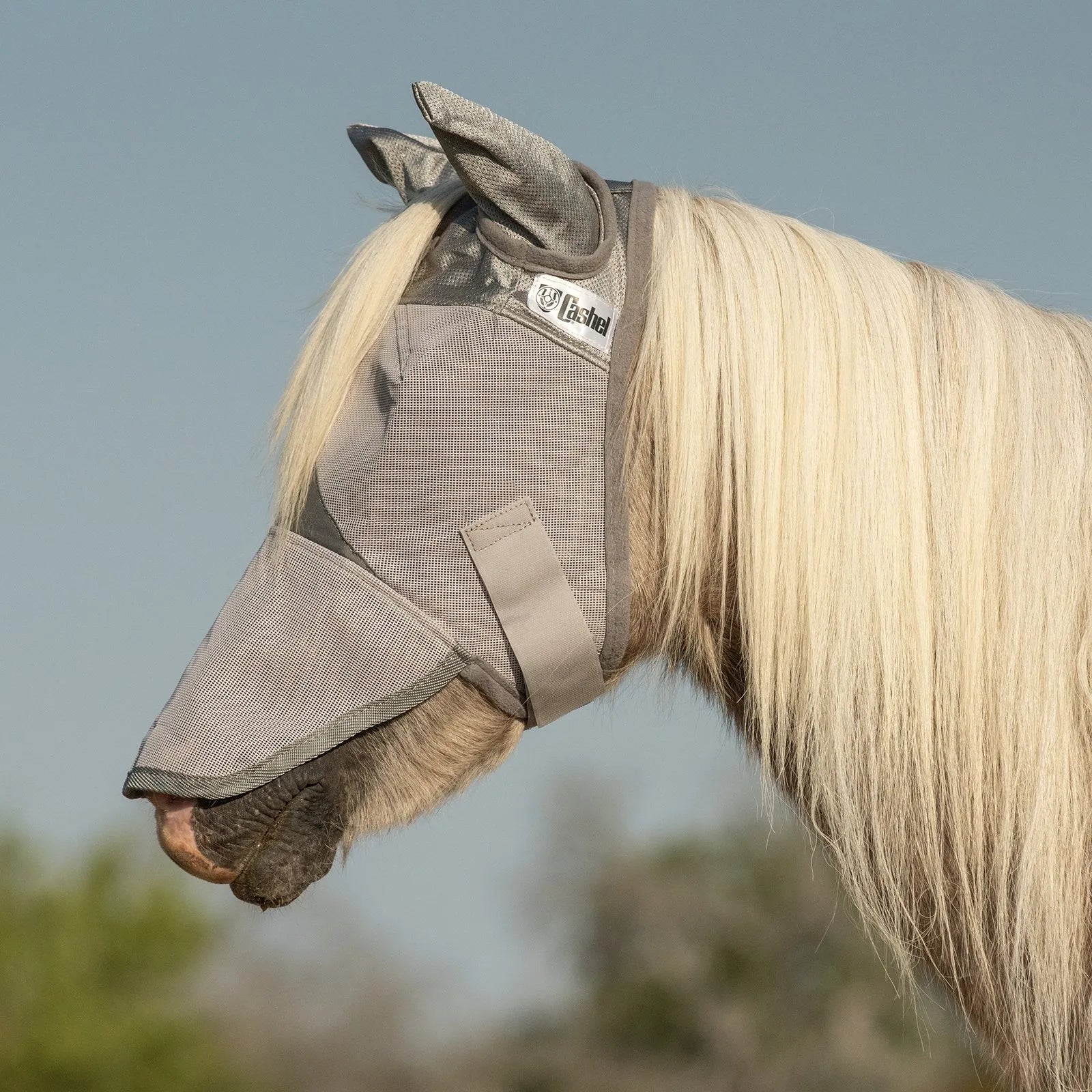 Cool Cashel Crusader Sun Fly Mask in grey mesh on a light-colored horse. This premium horse fly mask features built-in ear protection and a long nose piece for maximum UV and insect defense. Designed with soft, breathable silver mesh, it protects sensitive eyes and skin from sun damage and pests. Durable equine sun protection and fly control with a secure fit, ideal for turnout and pasture use.