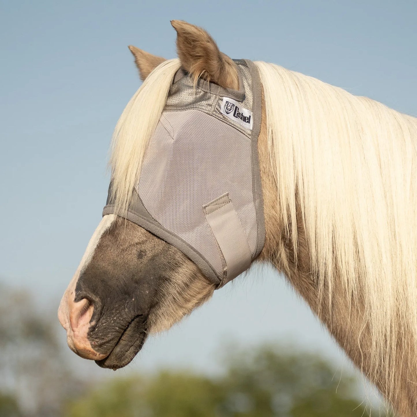 Gray Cashel Crusader Sun Fly Mask on a palomino horse with a flowing white mane. This high-quality mesh fly mask features comfortable ear holes and offers ultimate UV and fly protection. Ideal for equestrian insect defense, the durable design ensures a secure fit while keeping pests away from sensitive eyes. A must-have horse accessory for effective sun and fly relief in the pasture.