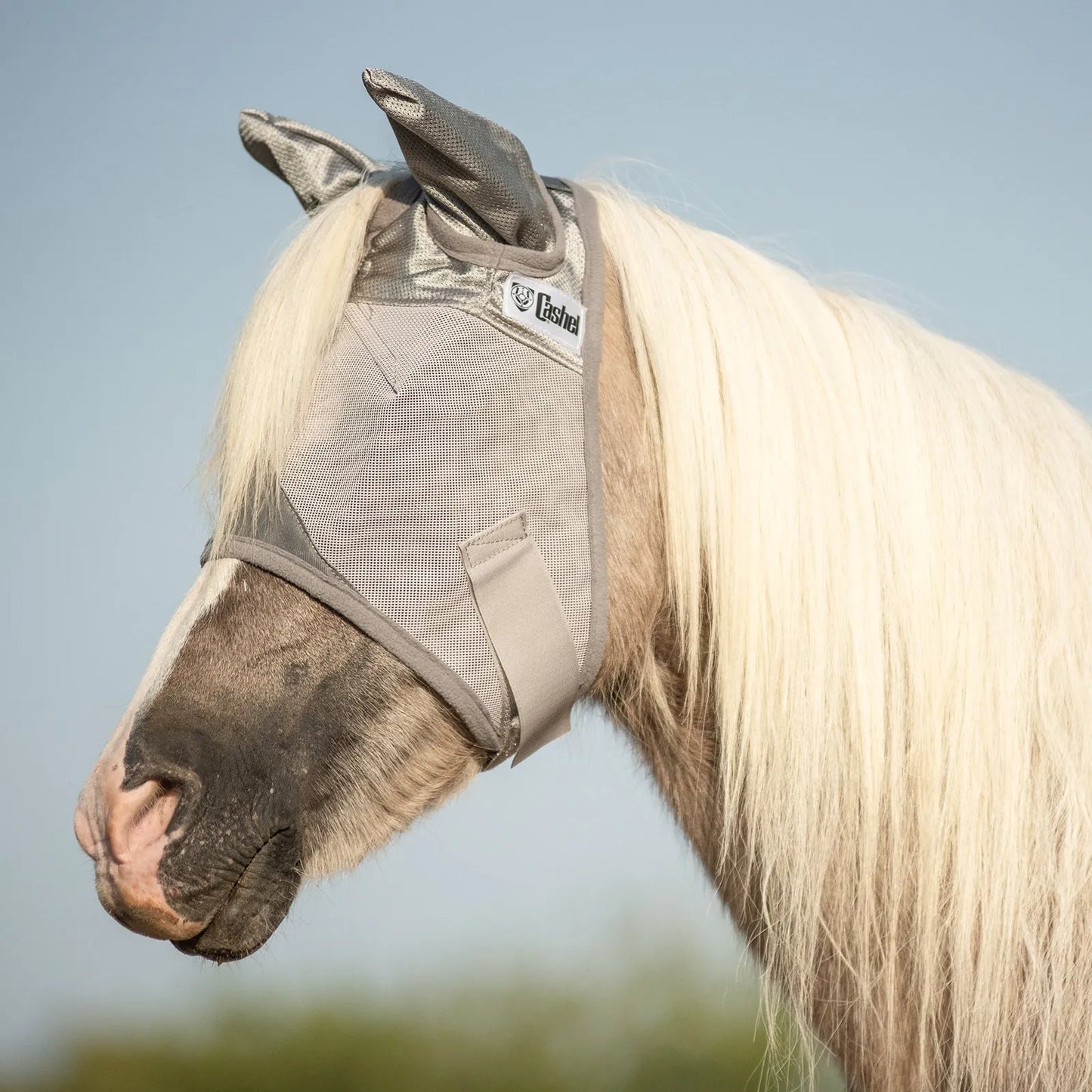 Cashel Crusader Sun Fly Mask with ears on a horse with a long white mane. This durable grey mesh horse fly mask provides ultimate UV protection and fly relief. Features a comfortable, breathable silver design that covers eyes and ears while allowing clear vision. Essential equestrian accessory for summer horse care and pasture protection.