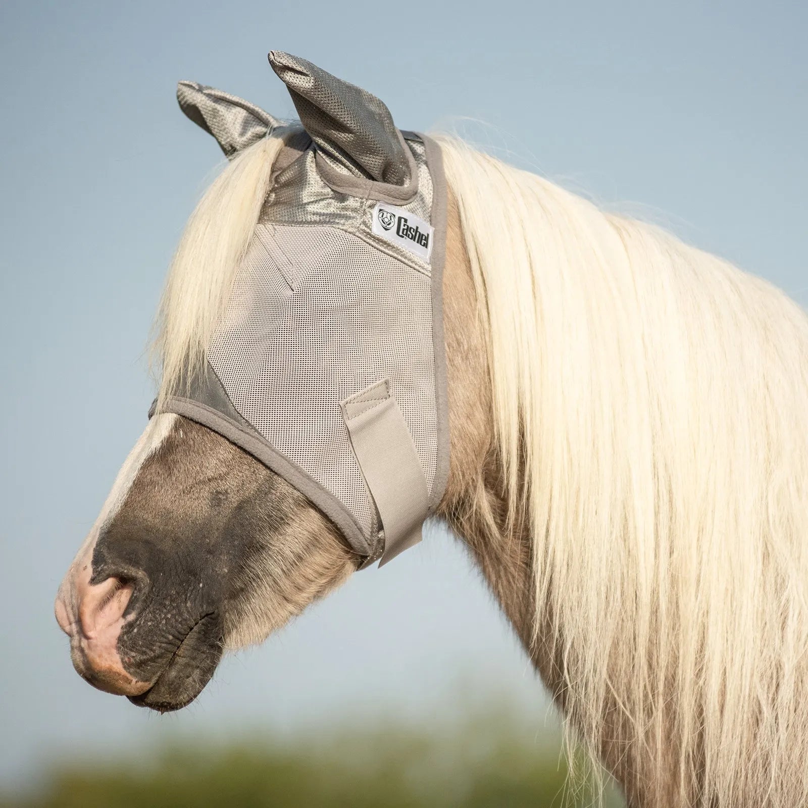 Cashel Crusader Sun Fly Mask with ears on a horse with a long white mane. This durable grey mesh horse fly mask provides ultimate UV protection and fly relief. Features a comfortable, breathable silver design that covers eyes and ears while allowing clear vision. Essential equestrian accessory for summer horse care and pasture protection.