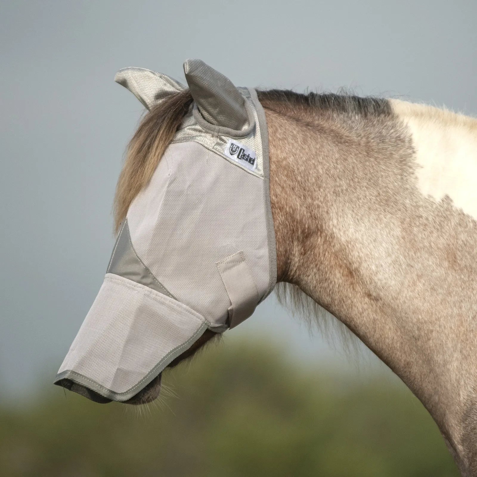 Side profile of a paint horse wearing a grey Cashel Crusader Sun Fly Mask with ears and long nose. This ultimate horse fly mask provides superior UV protection and insect defense. The durable, breathable silver mesh covers the eyes, ears, and muzzle to prevent sunburn and irritation. Ideal for horses with pink skin or sensitive eyes, this Cashel mask ensures a comfortable, secure fit during summer turnout.