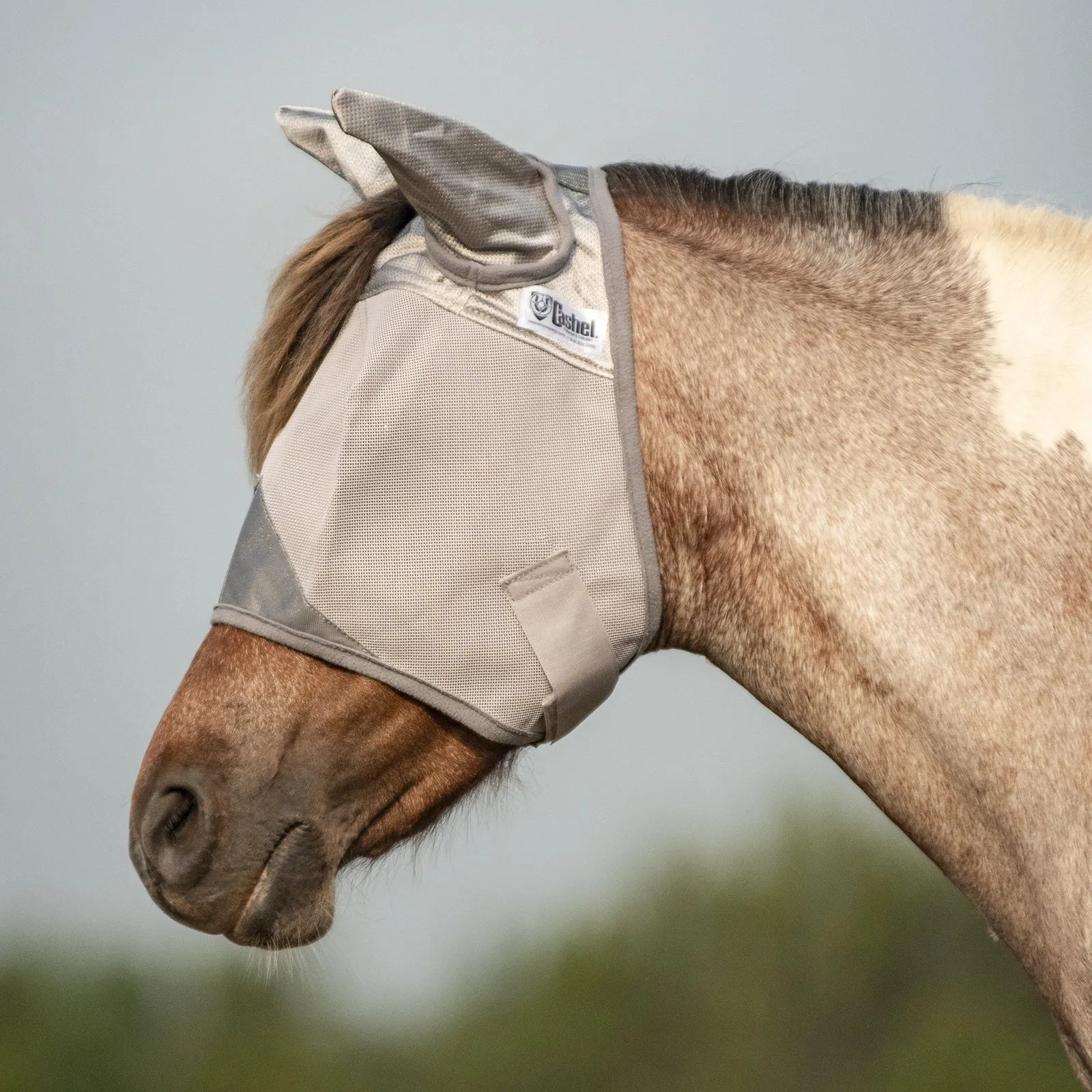 Cashel Crusader Sun Fly Mask in grey mesh, featured on a horse for a secure, anatomical fit. This protective horse fly mask includes mesh ear covers and provides ultimate UV and fly protection. Made from breathable, durable fabric with a visible brand logo, it’s the perfect equestrian accessory for keeping horses comfortable and shielded from pests and sun during summer turnout.
