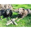 Cowboy Kettle Cowboy 12 Inch Beef Hide Dog Chew - Long-Lasting Natural Treat for Barn Dogs