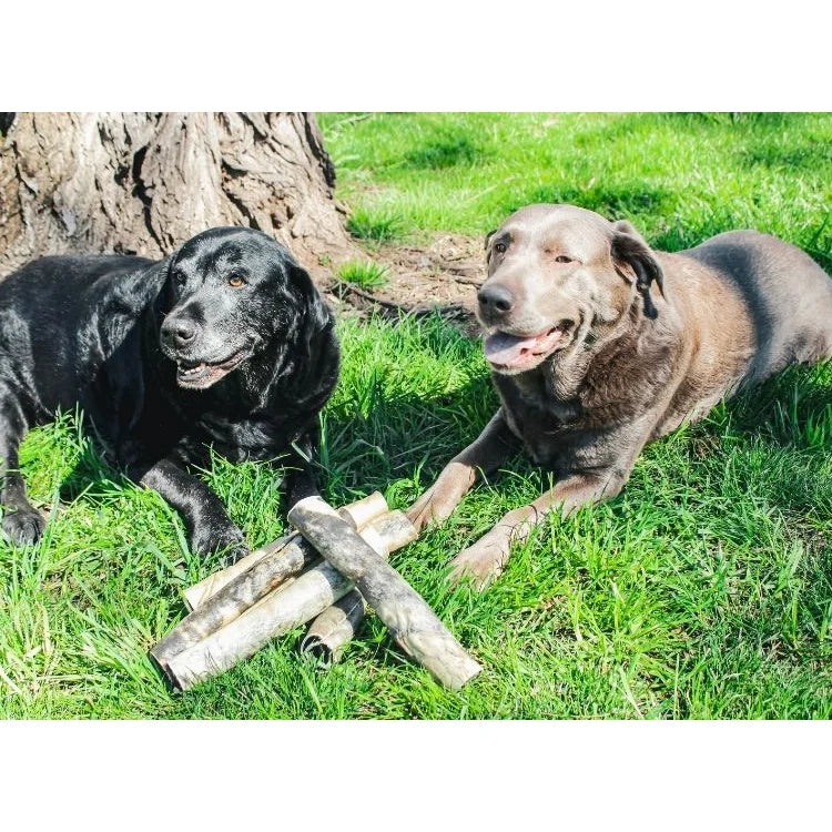 Cowboy Kettle Cowboy 12 Inch Beef Hide Dog Chew - Long-Lasting Natural Treat for Barn Dogs