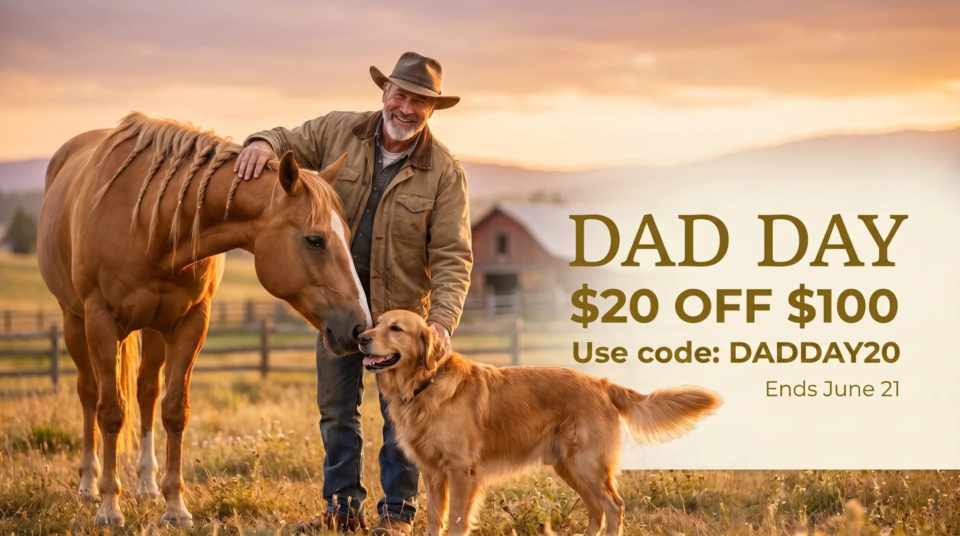 Dad Day sale $20 off $100 code DADDAY20