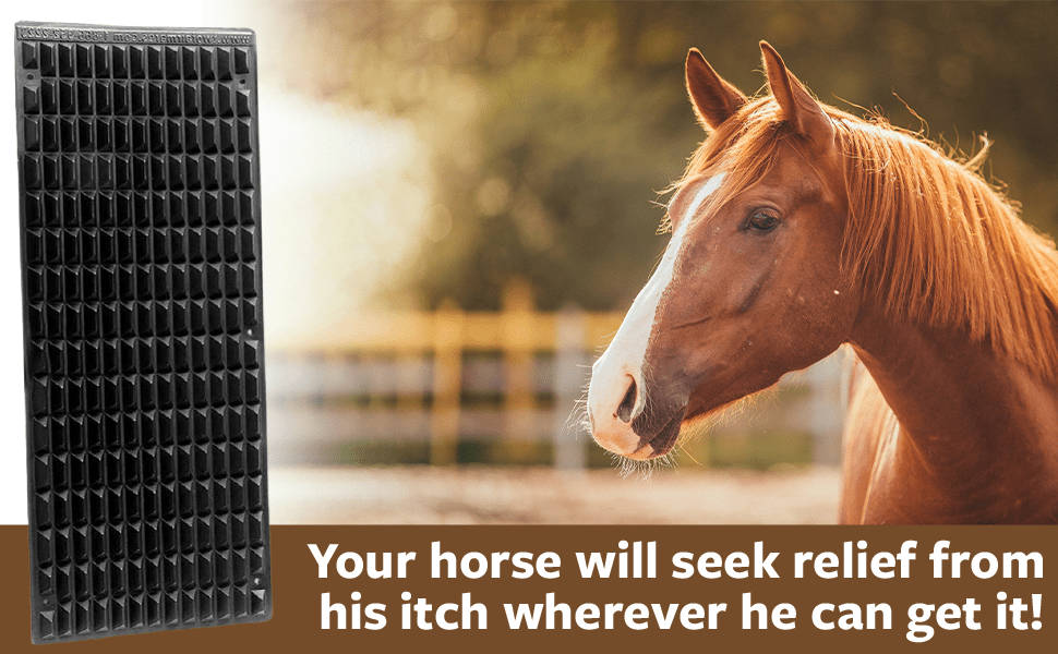 Shires Equine Horse Scratcher - Hooves and Paws