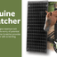 Shires Equine Horse Scratcher - Hooves and Paws