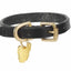 Digby & Fox Flat Leather Dog Collar