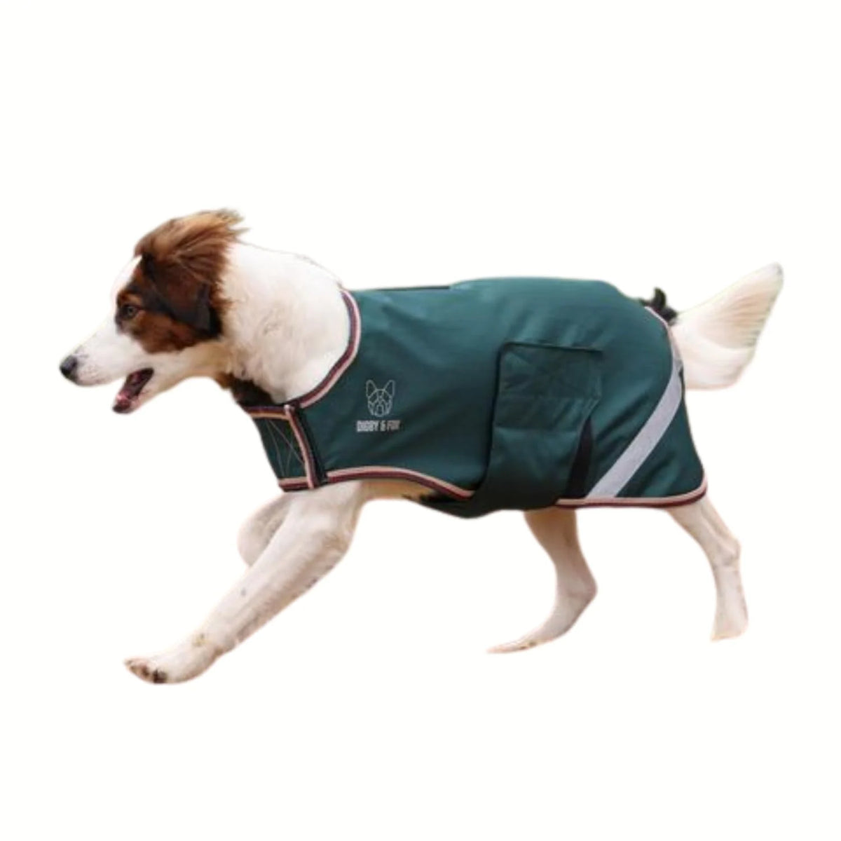 Digby & Fox Lite Waterproof Dog Coat