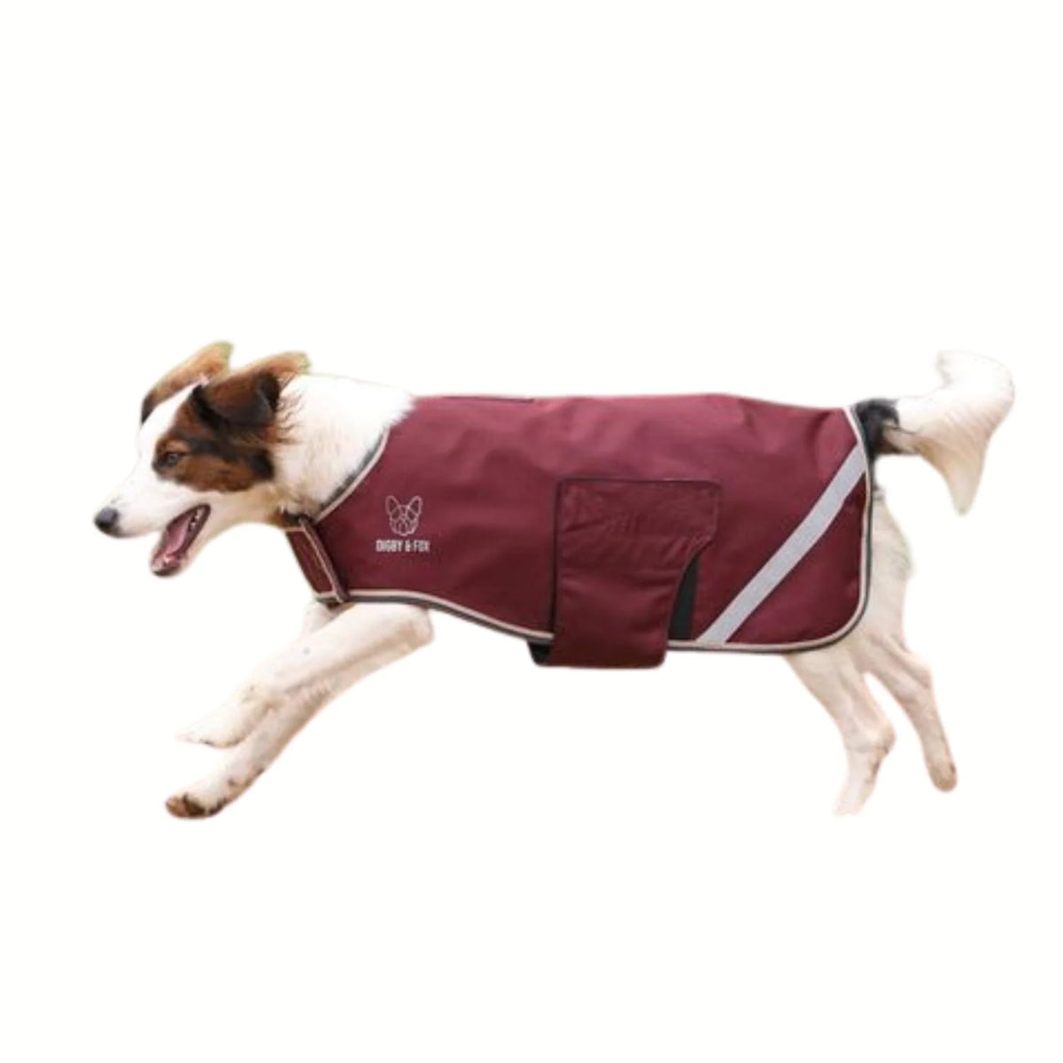 Digby & Fox Lite Waterproof Dog Coat