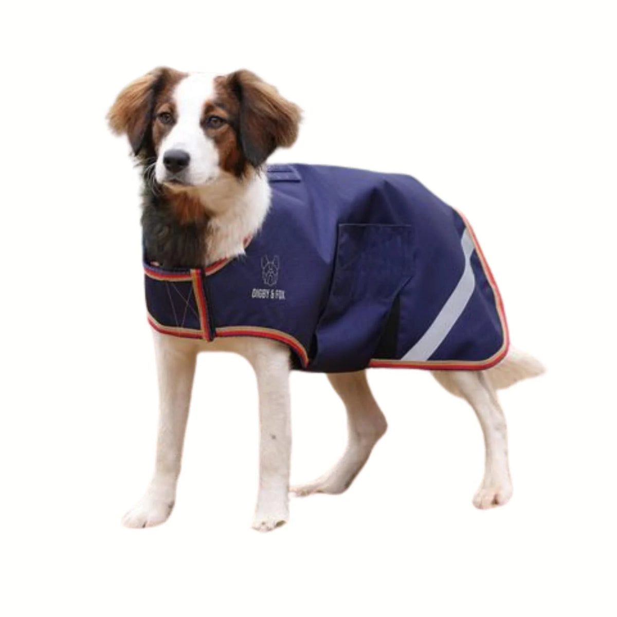 Digby & Fox Lite Waterproof Dog Coat