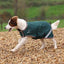 Digby & Fox Lite Waterproof Dog Coat