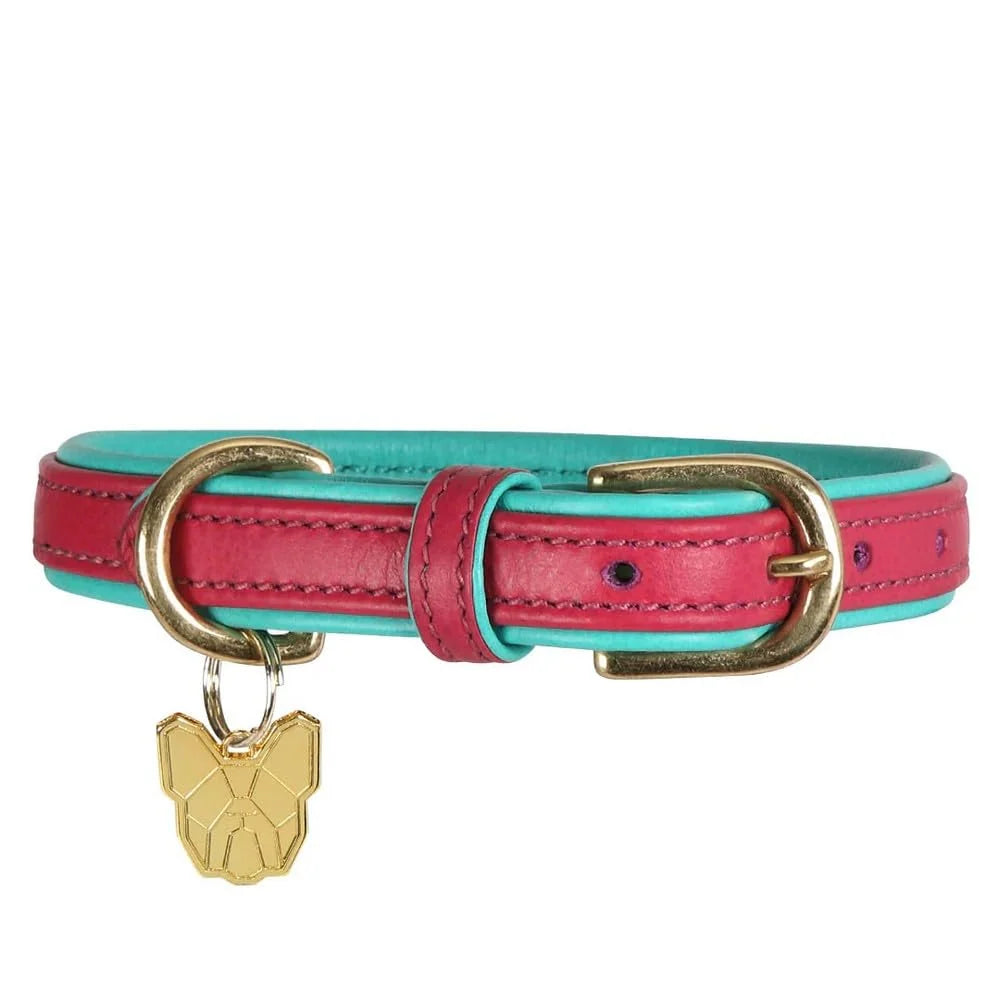 Digby & Fox Padded Leather Dog Collar